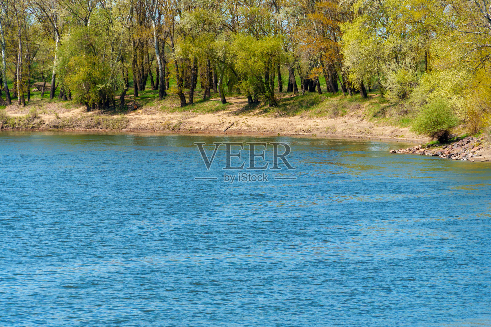 美丽的春季风景，森林和河流的景色。绿色的草地和树木营造出优美的自然环境。照片摄影图片