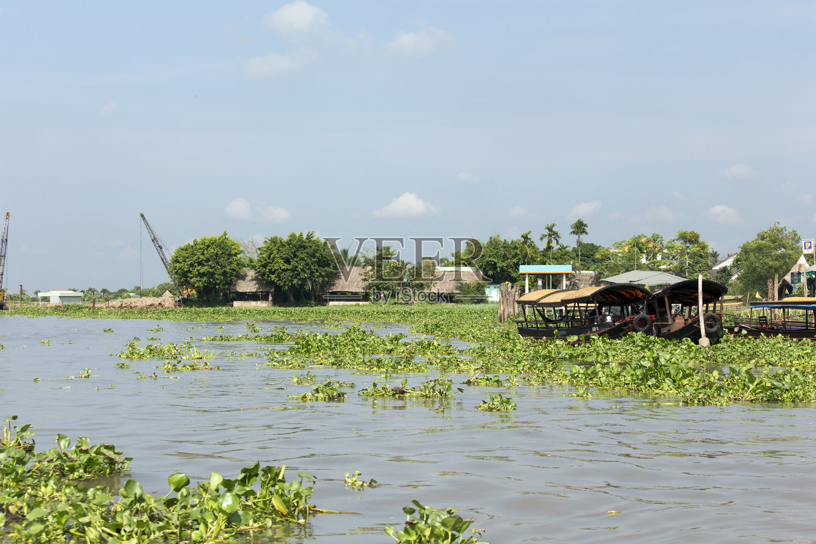 新鲜农产品商贩在船与船之间销售照片摄影图片