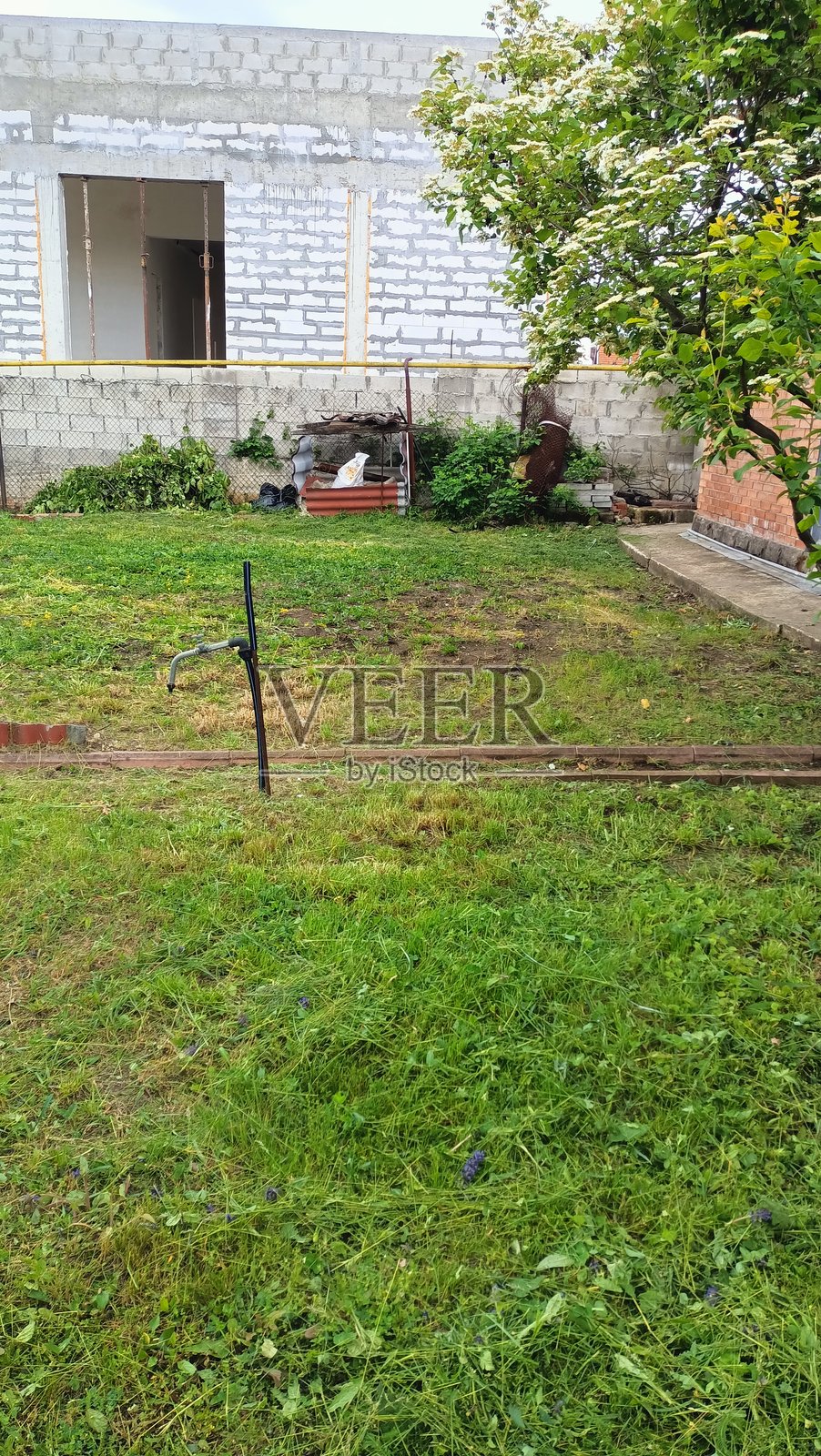 宁静而祥和的后院场景，绿草如茵，环境优美照片摄影图片