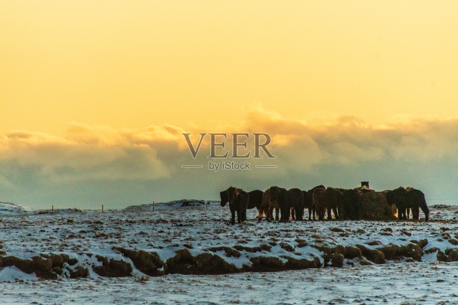 冰岛南海岸的黄金时刻照片摄影图片