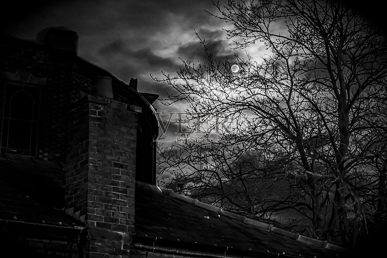 满月照片摄影图片