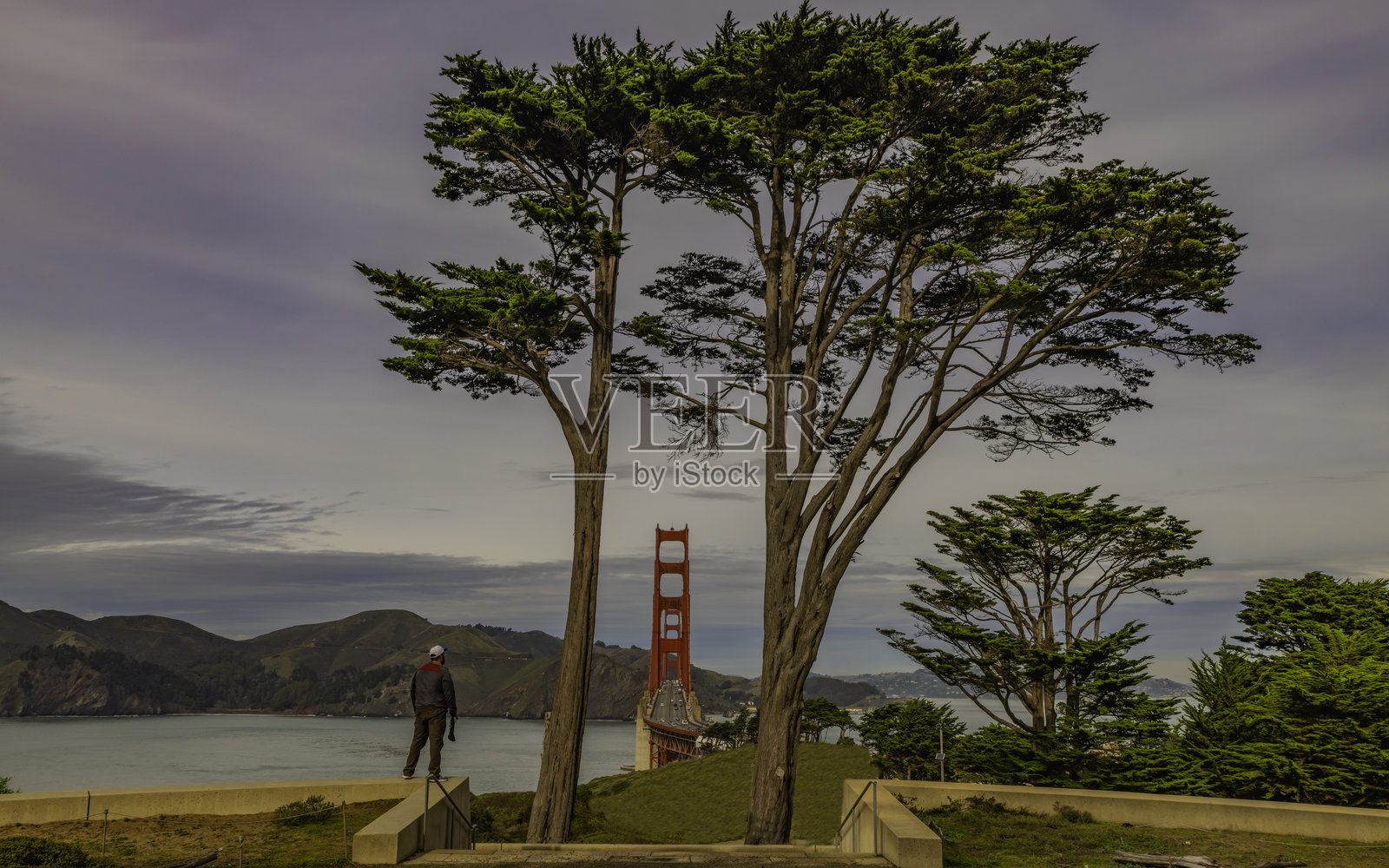 站在金门大桥的视野中照片摄影图片