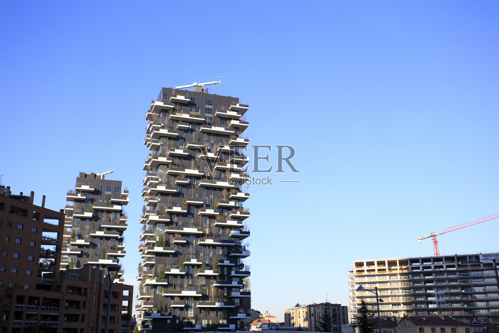 垂直木材照片摄影图片