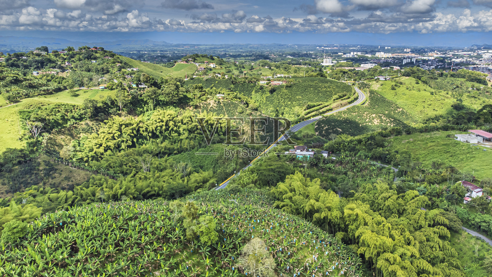 哥伦比亚的咖啡山脉照片摄影图片