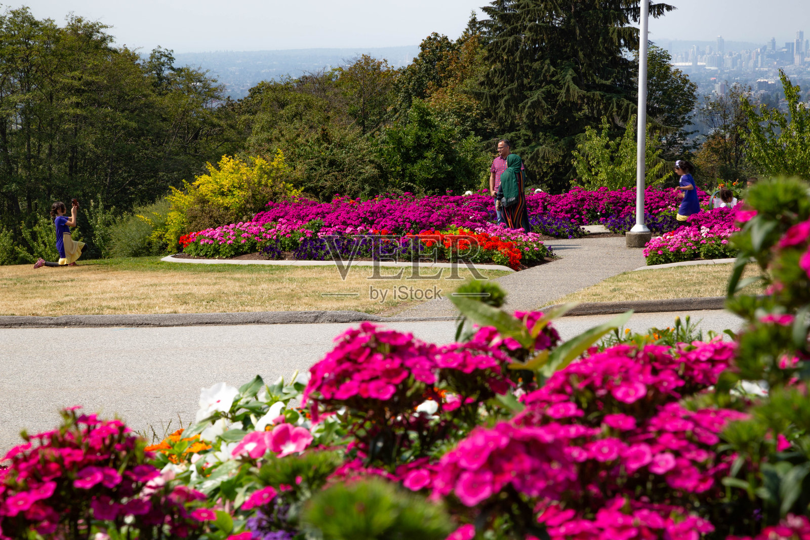 巴拿比山保护区的多彩花卉照片摄影图片