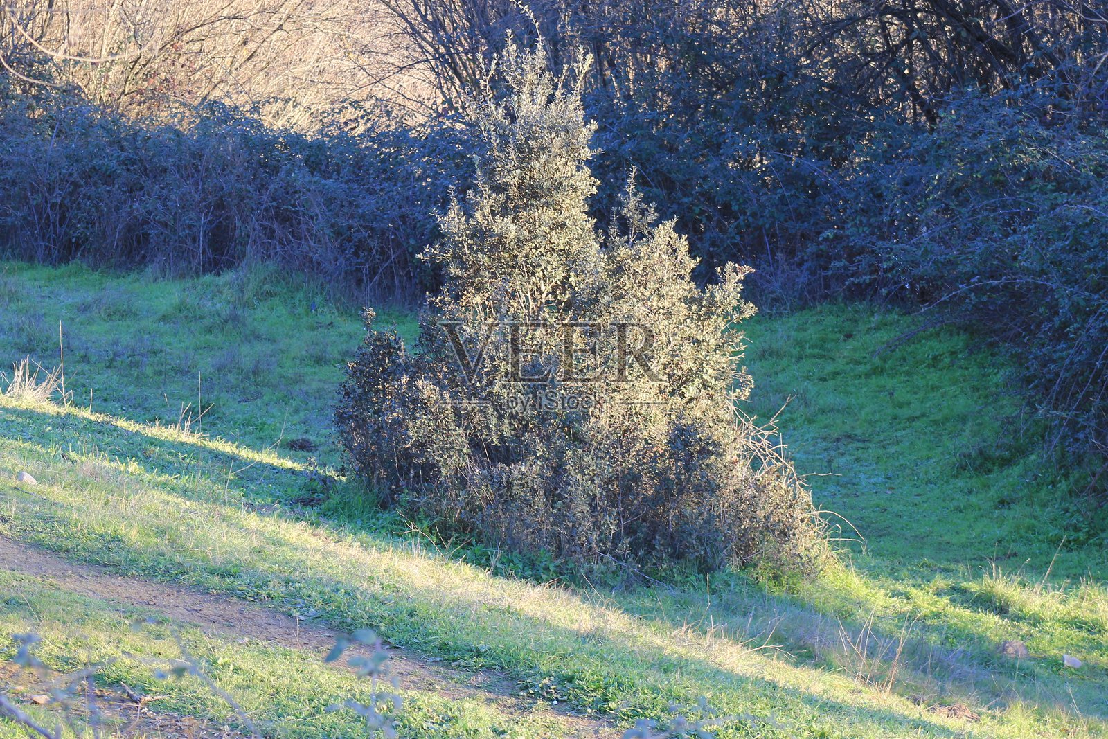 西拉莫雷纳自然公园，安杜哈尔，西班牙 - 2015照片摄影图片