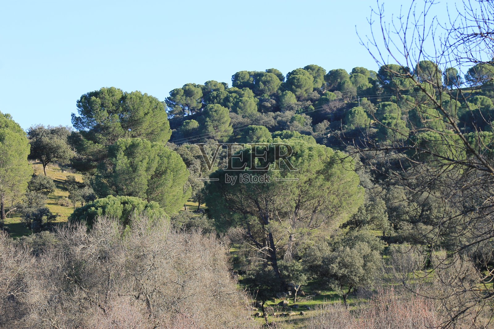 西拉莫雷纳自然公园，安杜哈，西班牙 - 2015年照片摄影图片