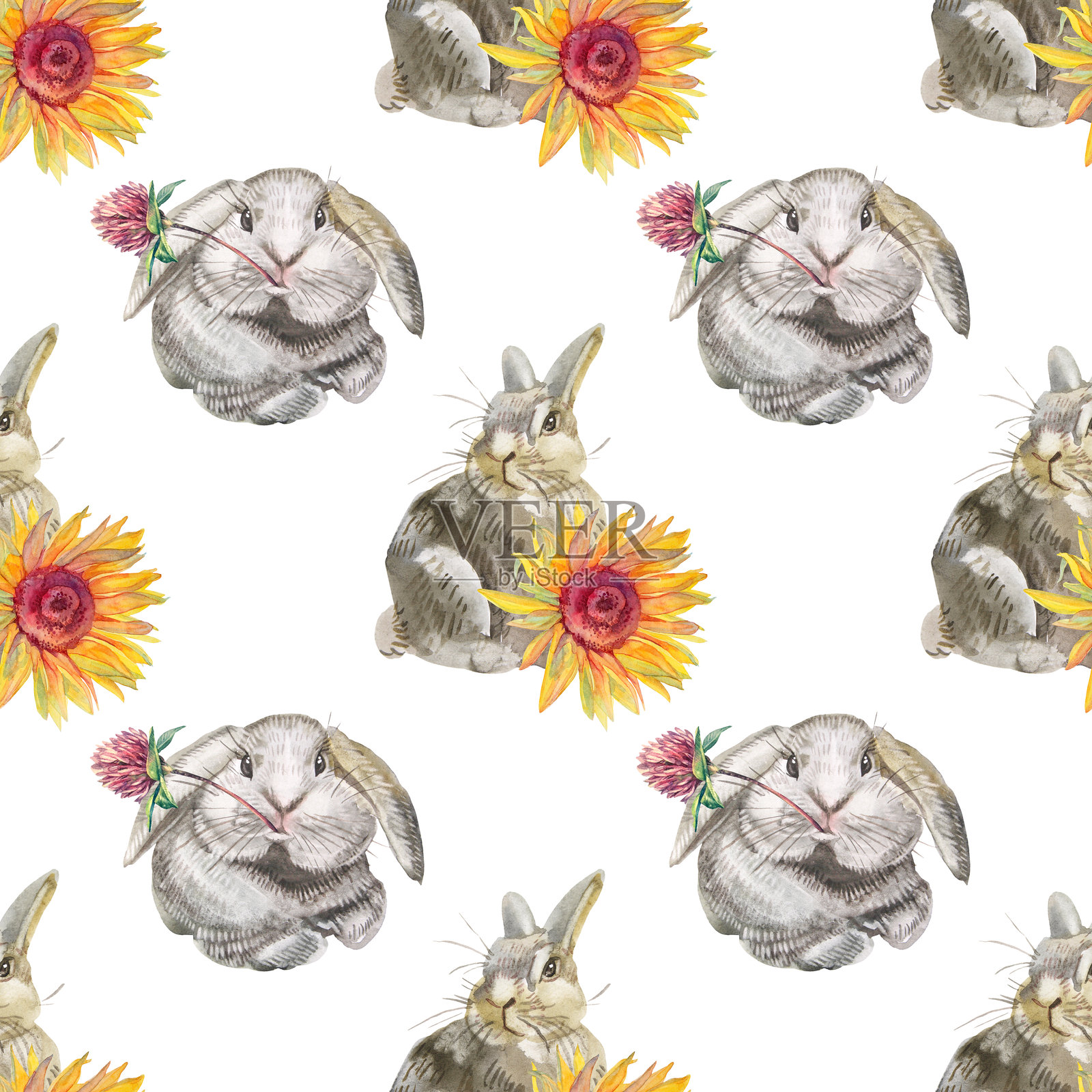 水彩无缝图案，背景为白色，包含兔子、向日葵和三叶草。适合庆祝婚礼或3月8日的夏季春季艺术作品。花卉和动物兔子可用于壁纸或包装。插画图片素材