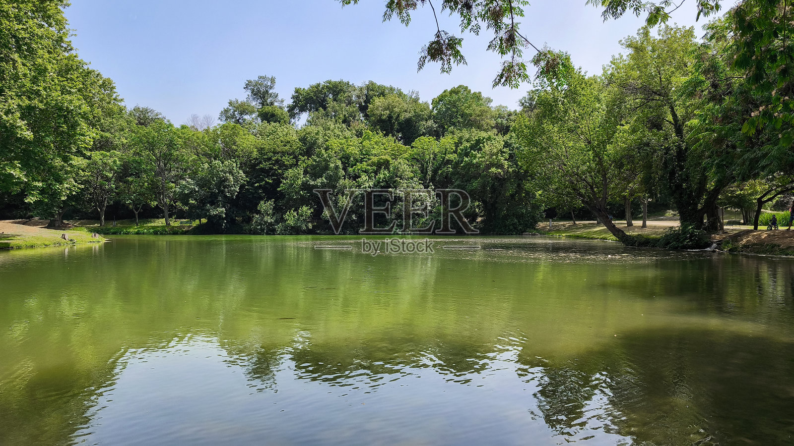 水边的宁静：一个远离人群的迷人湖泊景色照片摄影图片