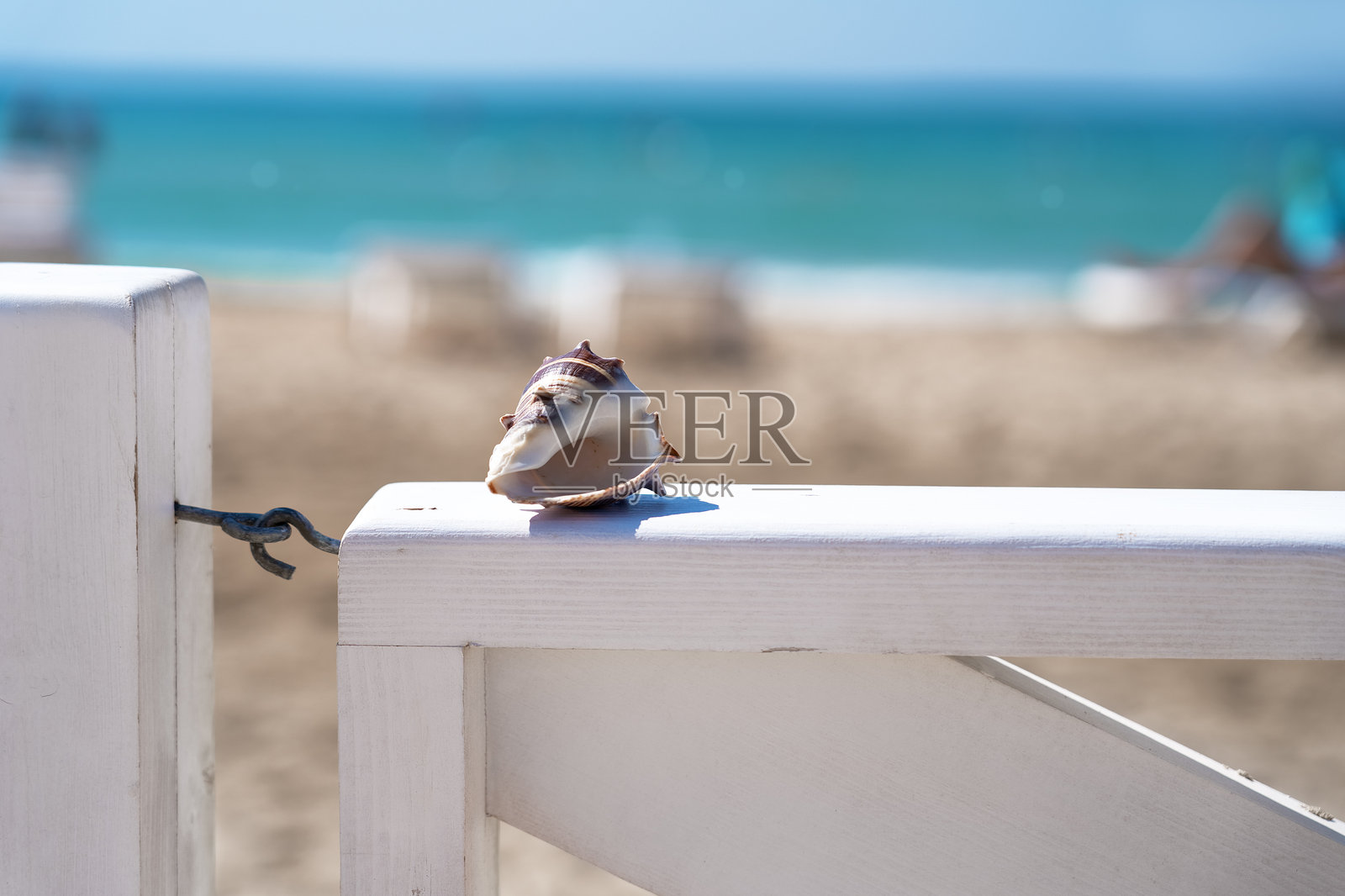 沙滩上木栅栏上的海贝壳，背景是夏日的海洋。照片摄影图片
