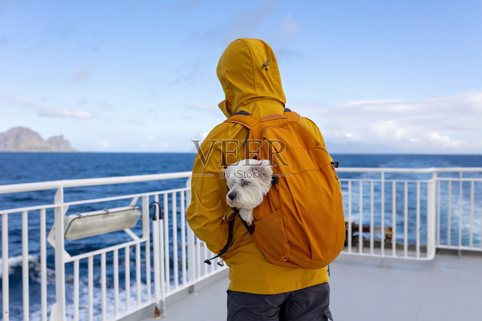 带着孩子和狗的家庭，乘坐渡轮从莫斯肯索亚前往瓦罗亚，狗在背包里。照片摄影图片