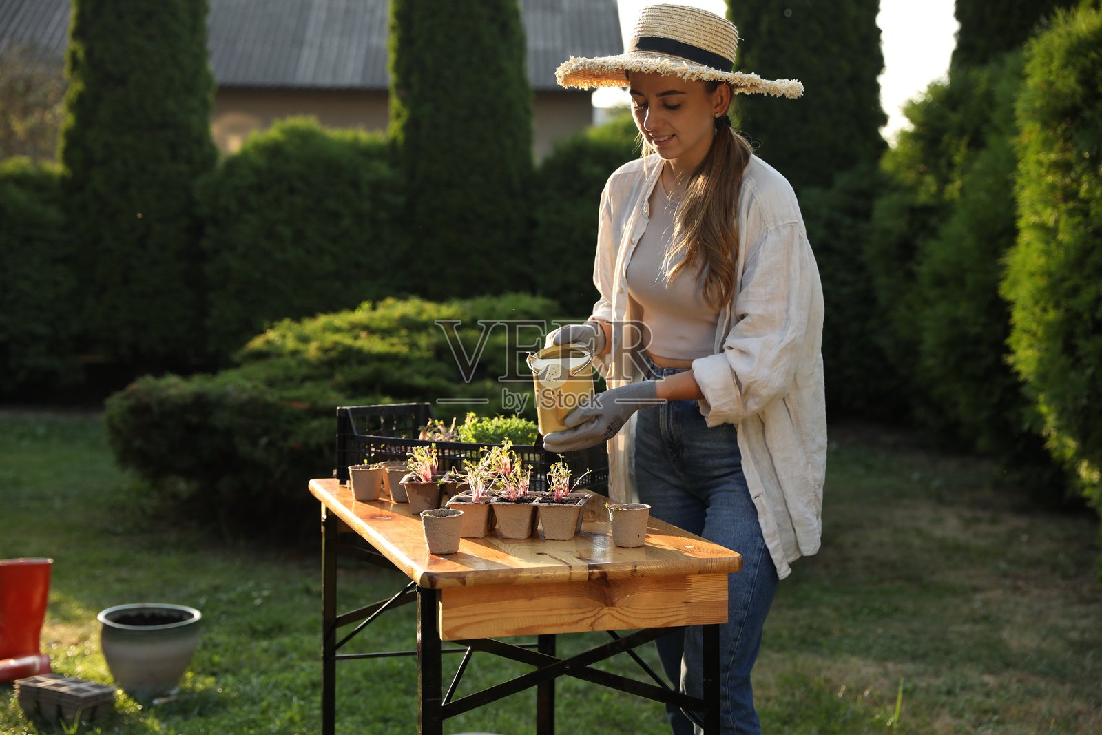 微笑的女性在户外的桌子上用浇水壶给盆栽幼苗浇水照片摄影图片