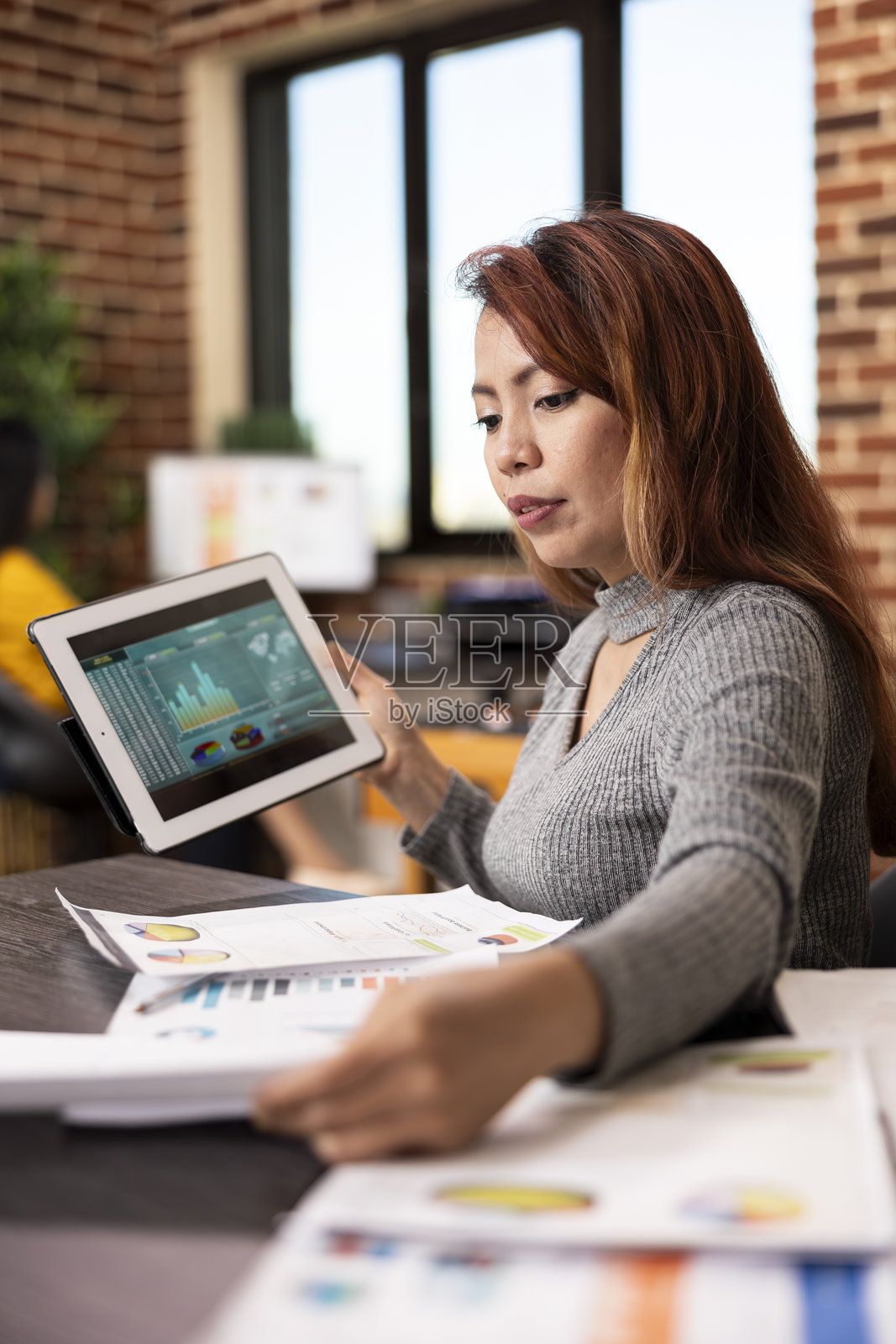 企业家审阅公司文件照片摄影图片