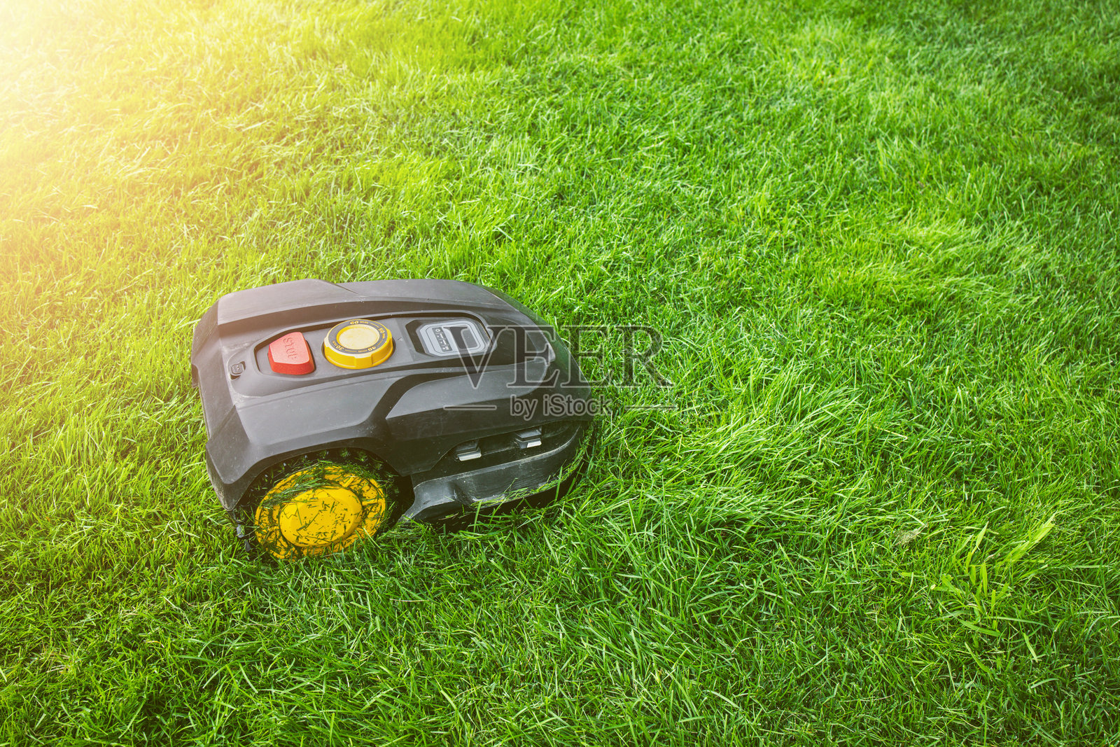 电子机器人割草机在绿草上。自动割草机器人在夏日阳光下的草坪上。照片摄影图片