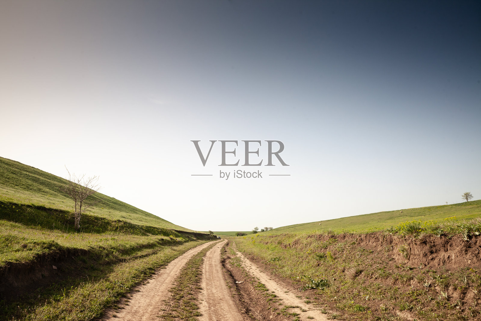 在塞尔维亚沃伊伏丁那的Titelski Breg，蜿蜒的泥土小路穿过绿色的山丘，宽广的天空下，展现出宁静的乡村风光和偏远的乡间道路。照片摄影图片