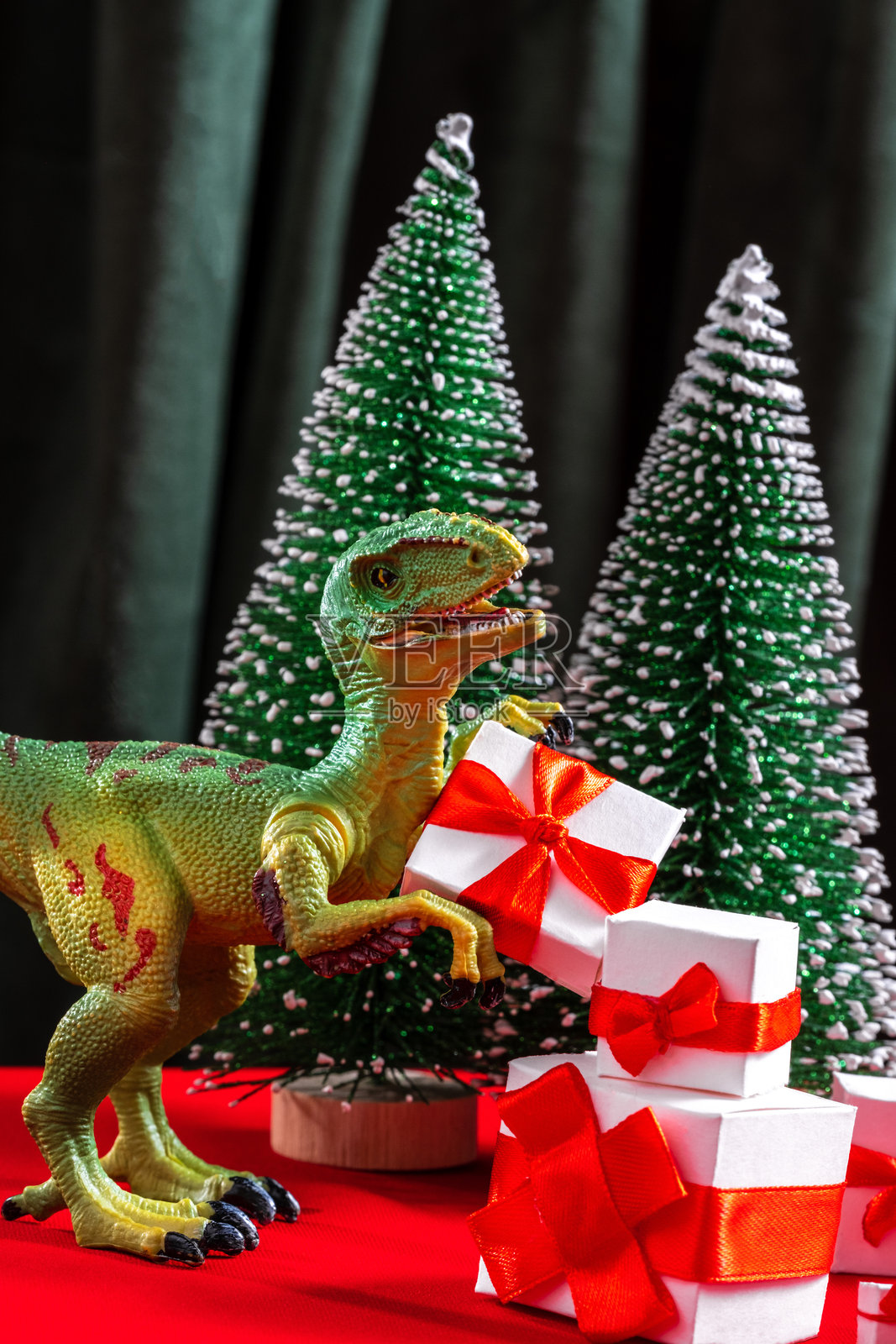 玩具恐龙与礼品盒和迷你圣诞树摆放在红色桌子上。节日气氛浓厚，充满趣味的假日场景，带有有趣的史前元素。照片摄影图片