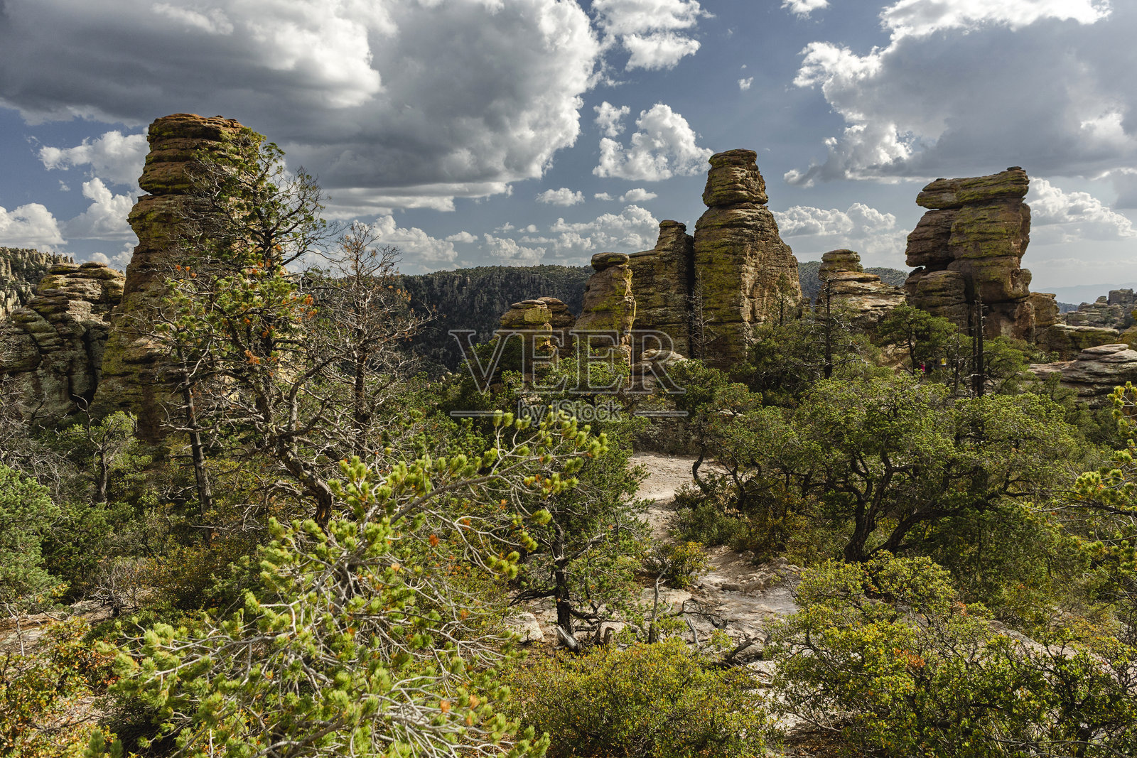 奇里卡华国家纪念碑的岩石尖峰照片摄影图片