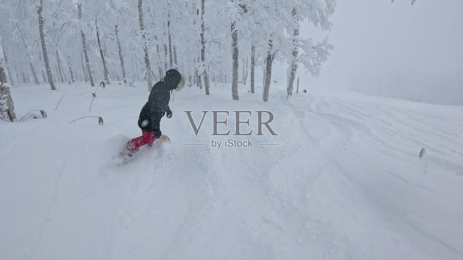 穿着粉色裤子的滑雪板运动员在滑雪坡边缘的新鲜雪粉中滑行照片摄影图片