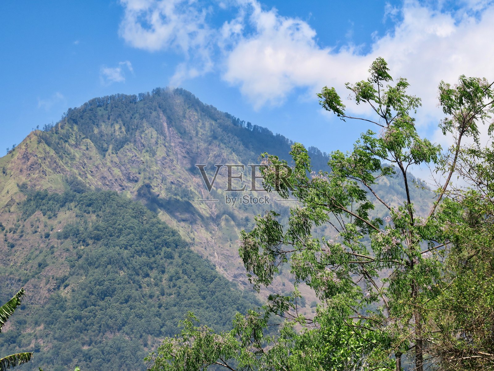 巴厘岛北部的巴图尔火山口照片摄影图片