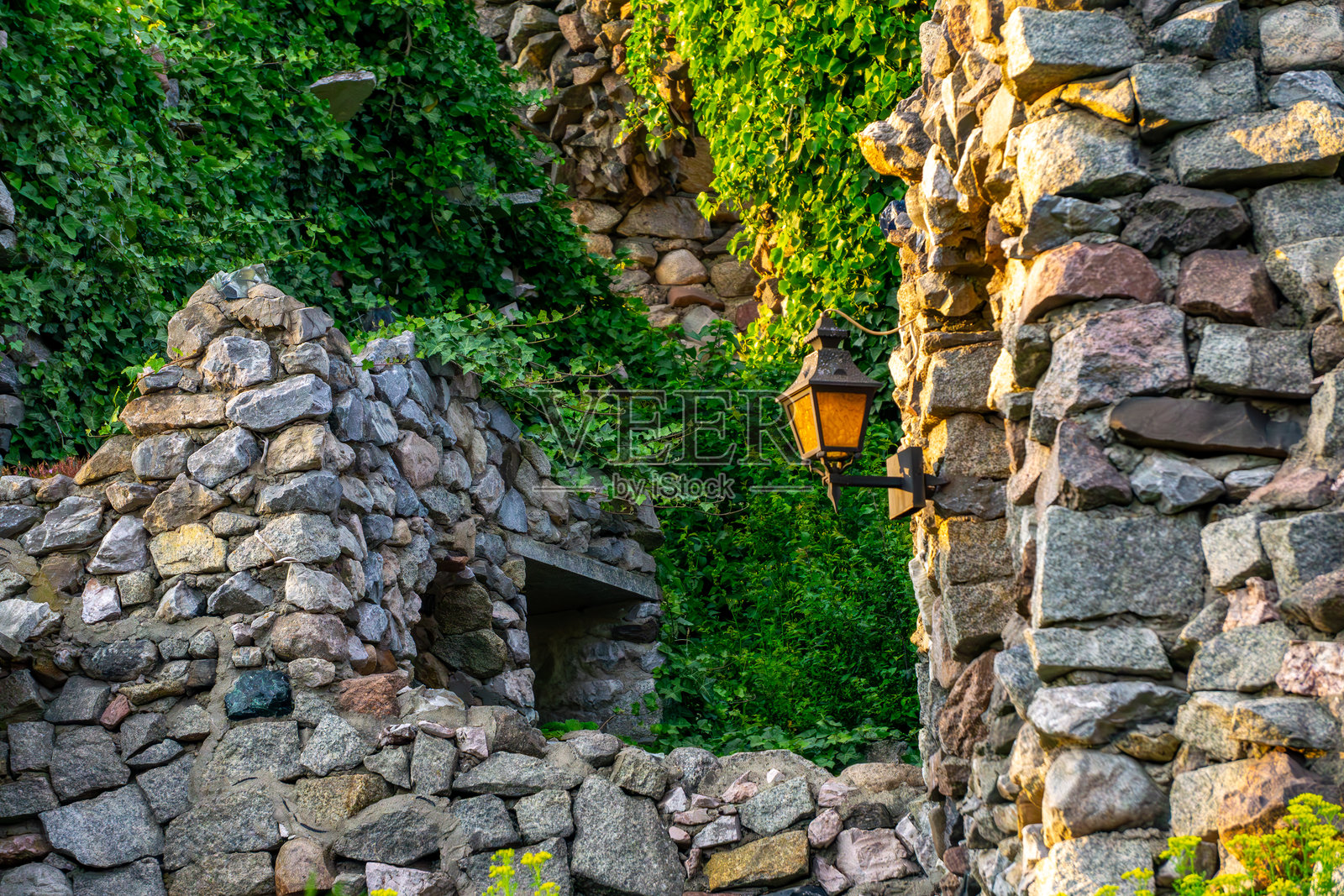 用田石建成的废墟被郁郁葱葱的常春藤覆盖，配有墙壁灯和拱形通道。照片摄影图片
