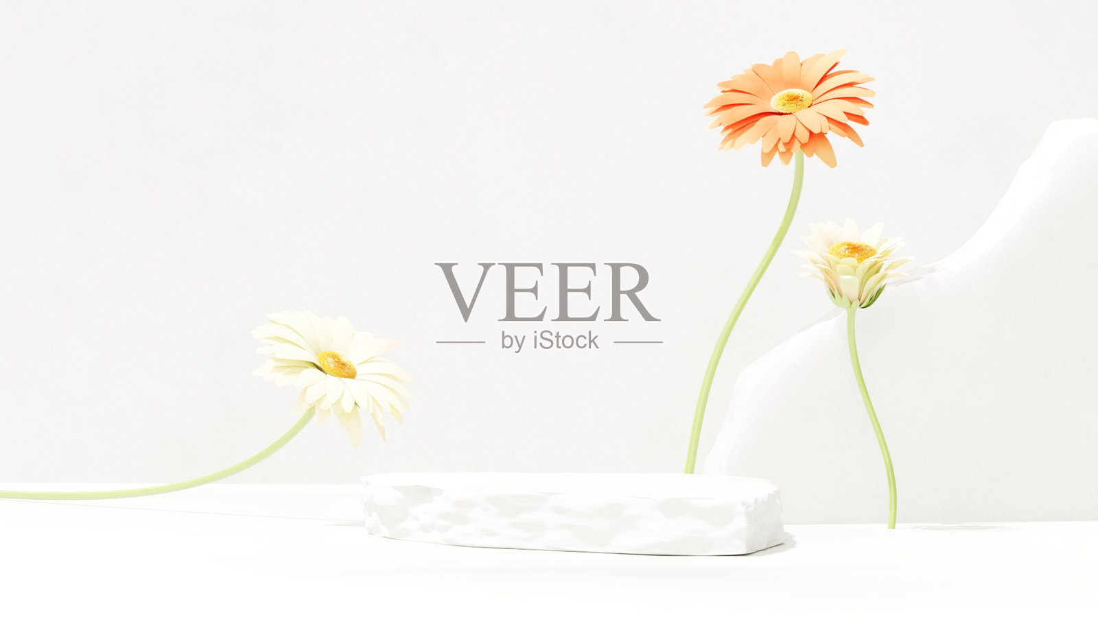 优质简约白色大理石石板讲台和菊花草用于产品展示的风景背景照片摄影图片