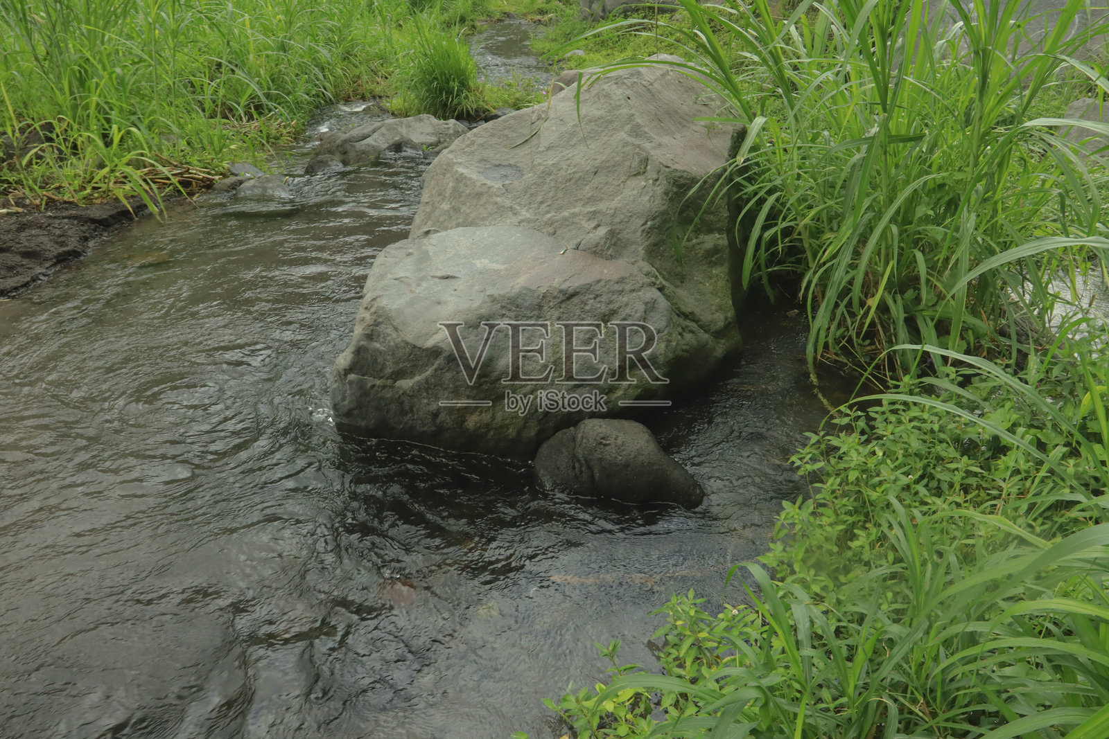 印度尼西亚郁郁葱葱的热带山间溪流照片摄影图片