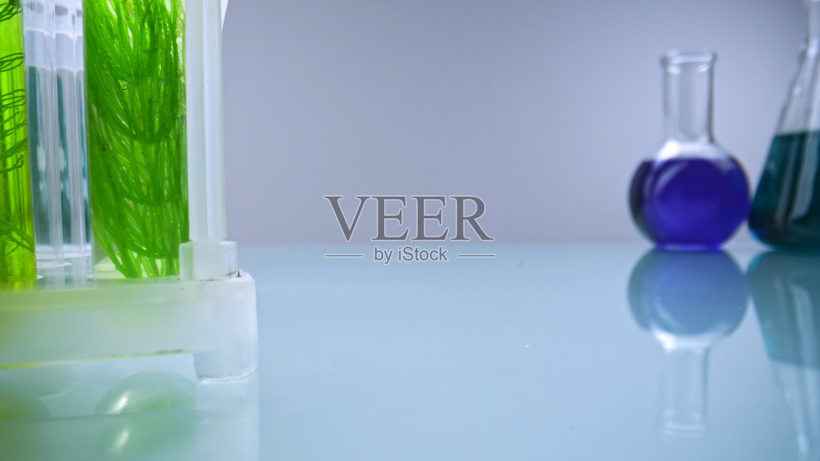 实验室中装有绿色植物样本的试管和五颜六色的化学烧瓶照片摄影图片