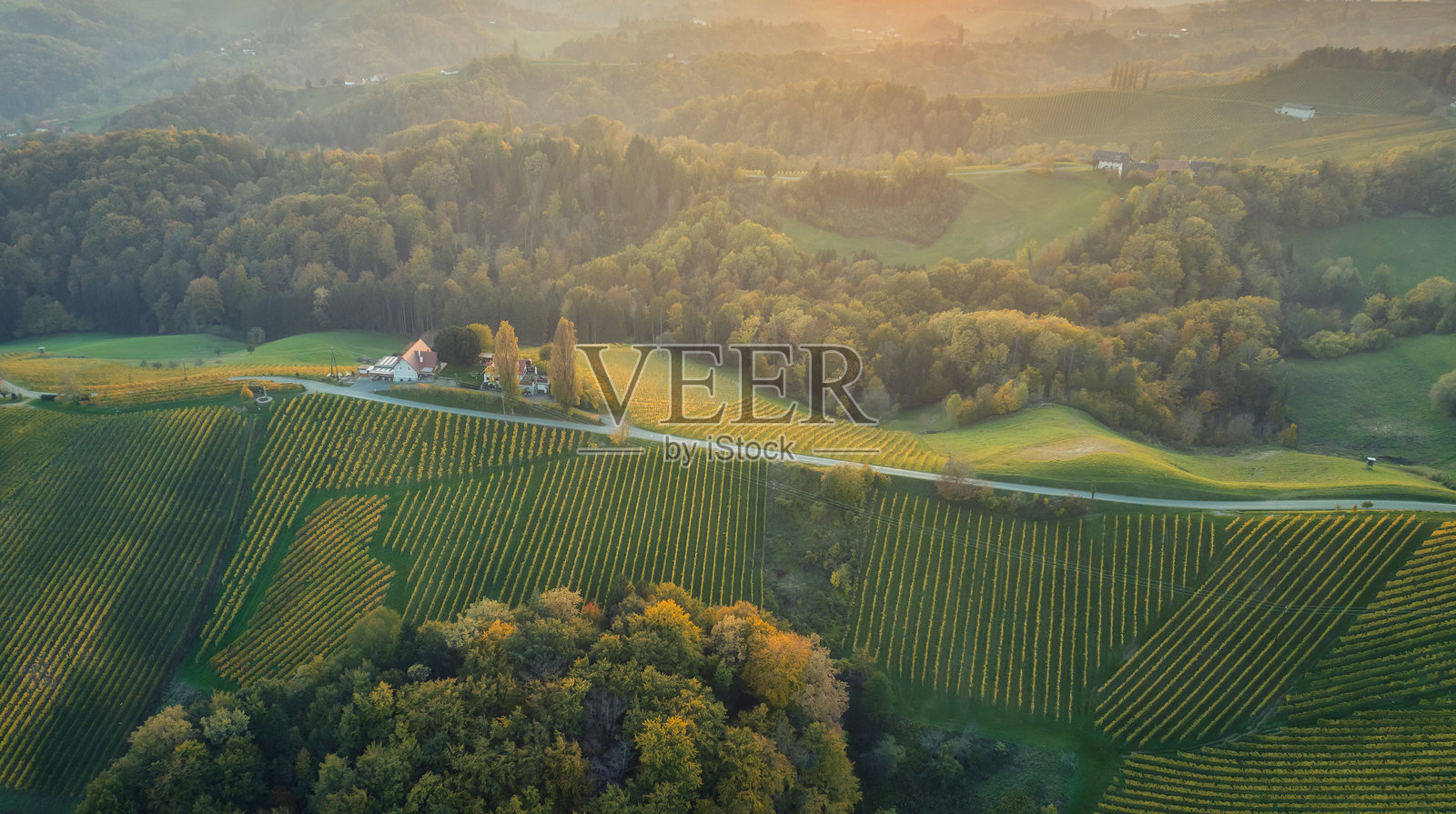 斯洛文尼亚马里博附近的秋季多彩起伏山丘照片摄影图片