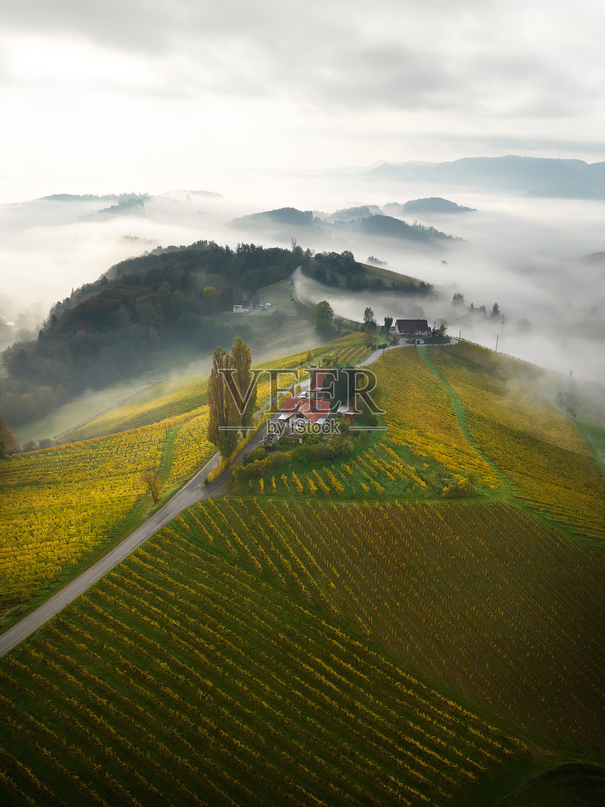 斯洛文尼亚马里博附近的秋季多彩丘陵照片摄影图片