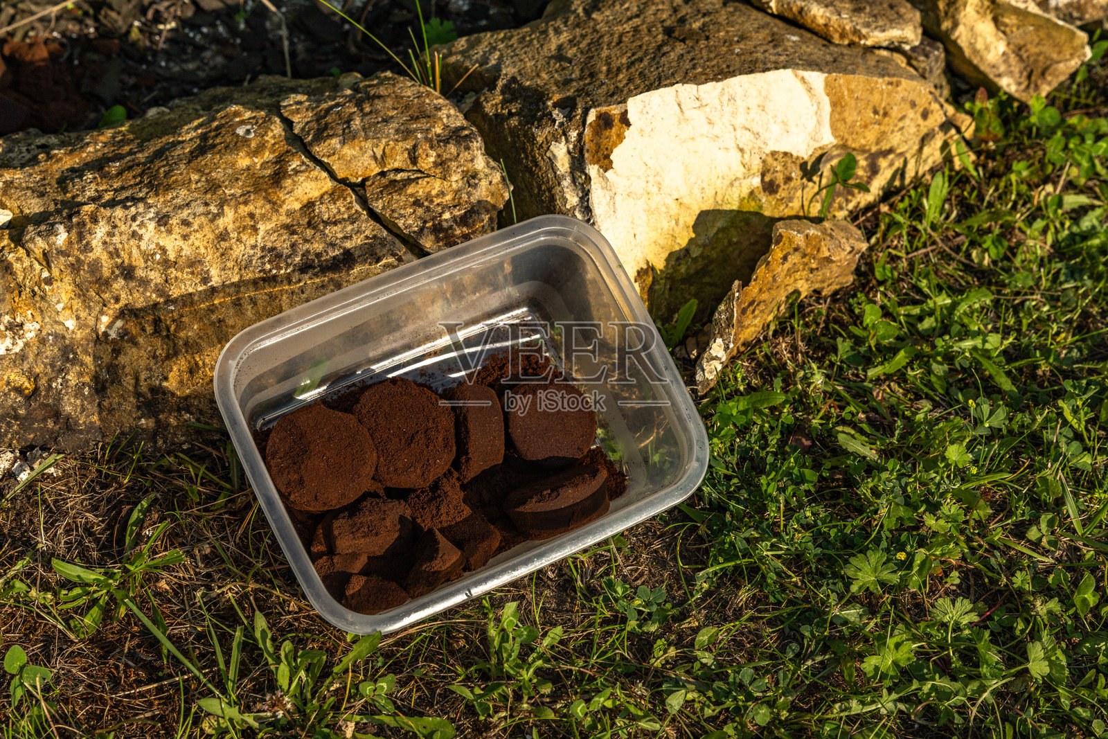 在花园灌木周围散布红色树皮，使花园植物周围的土壤酸化。照片摄影图片