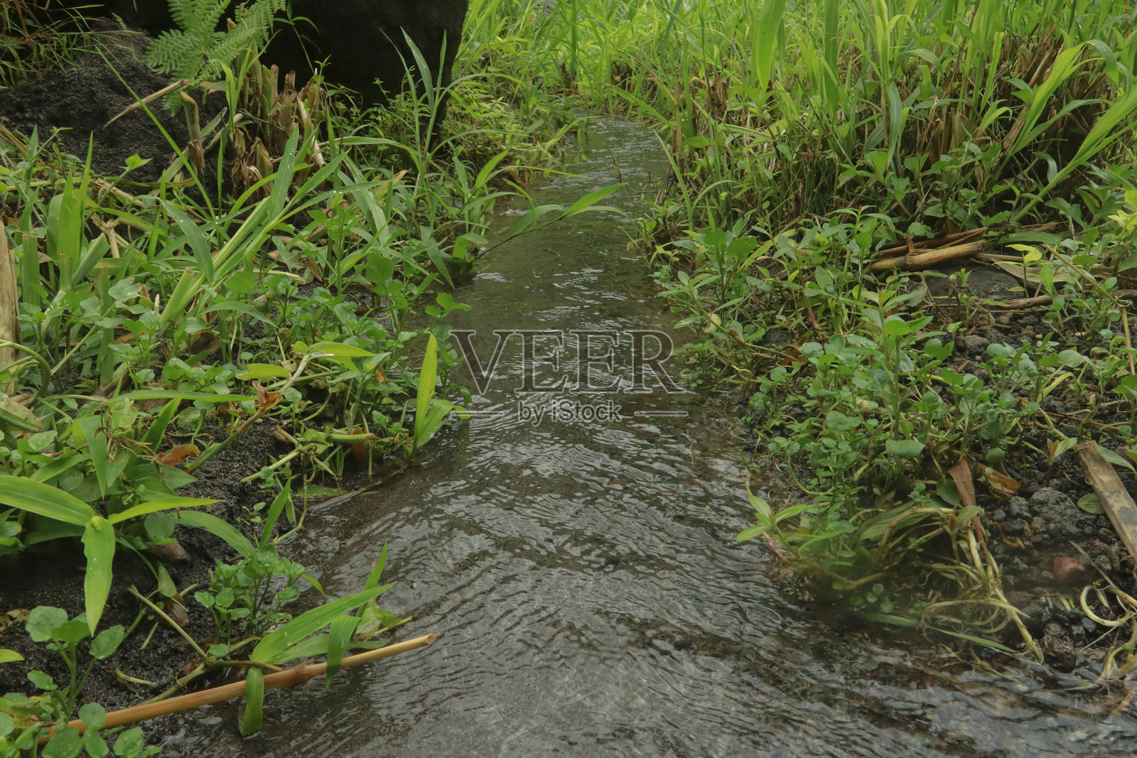 印度尼西亚隐藏的洞穴泉水，流动的水和热带植被照片摄影图片