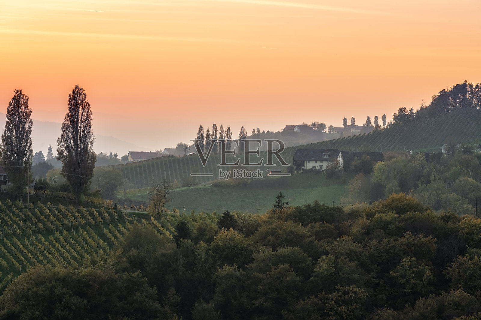 斯洛文尼亚马里博附近的秋季多彩丘陵风光照片摄影图片