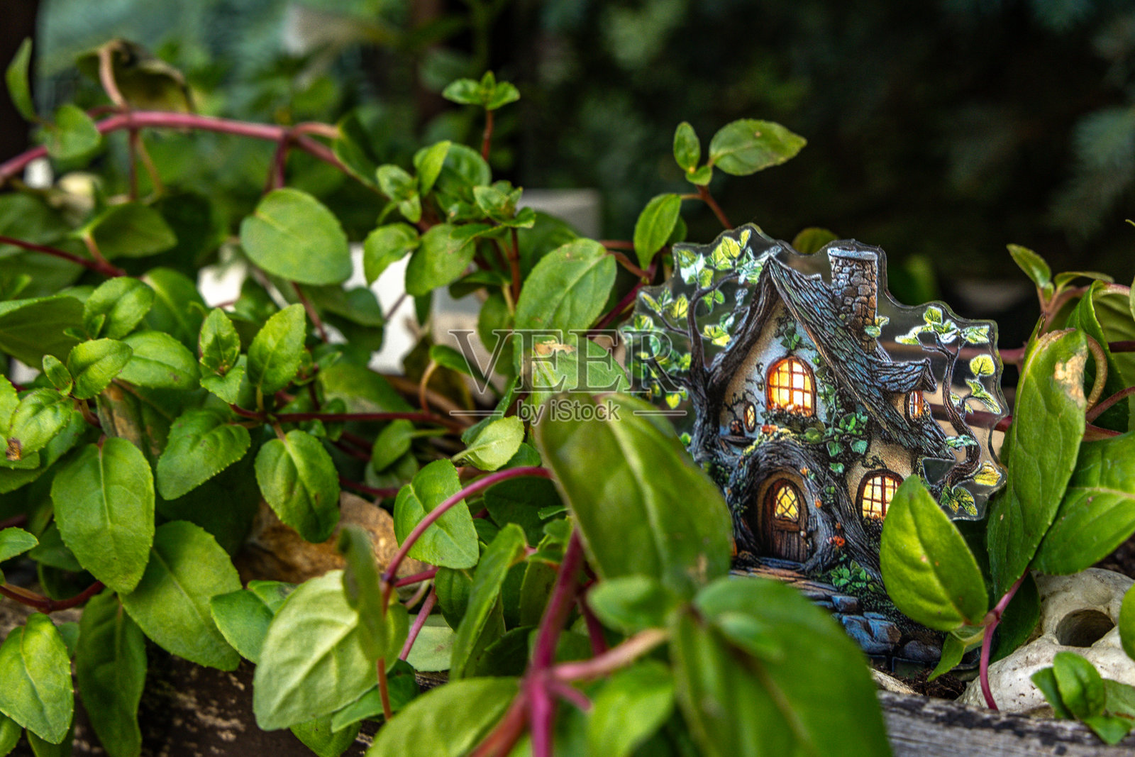 隐藏在花园中的小彩色精灵屋，巴巴雅嘎的房子，花园装饰品，照片摄影图片
