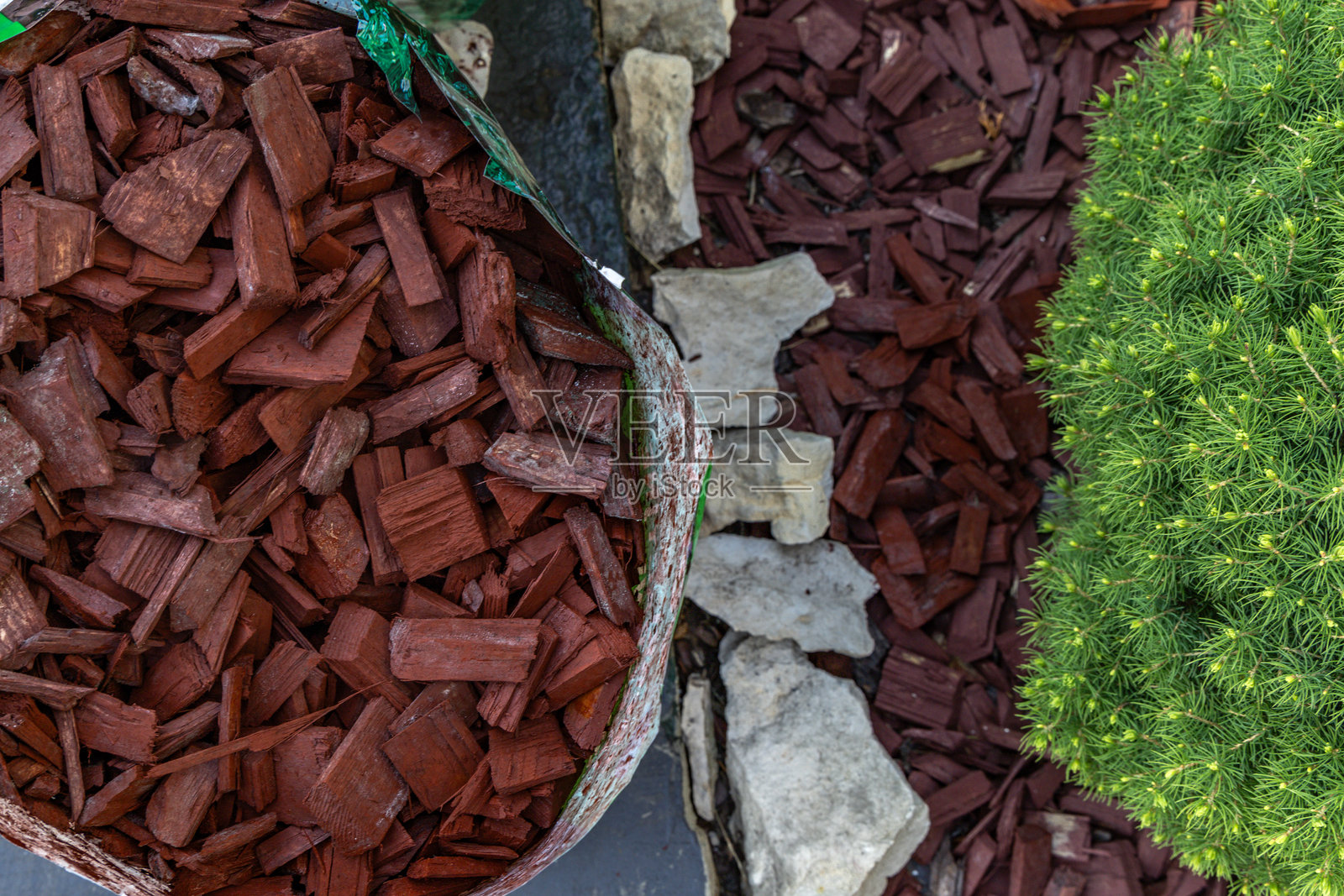 在花园灌木周围散布红色树皮，使花园植物周围的土壤酸化。照片摄影图片