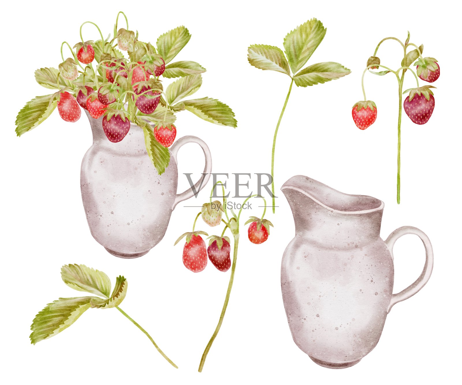 可爱的成熟野生草莓枝插画图片素材