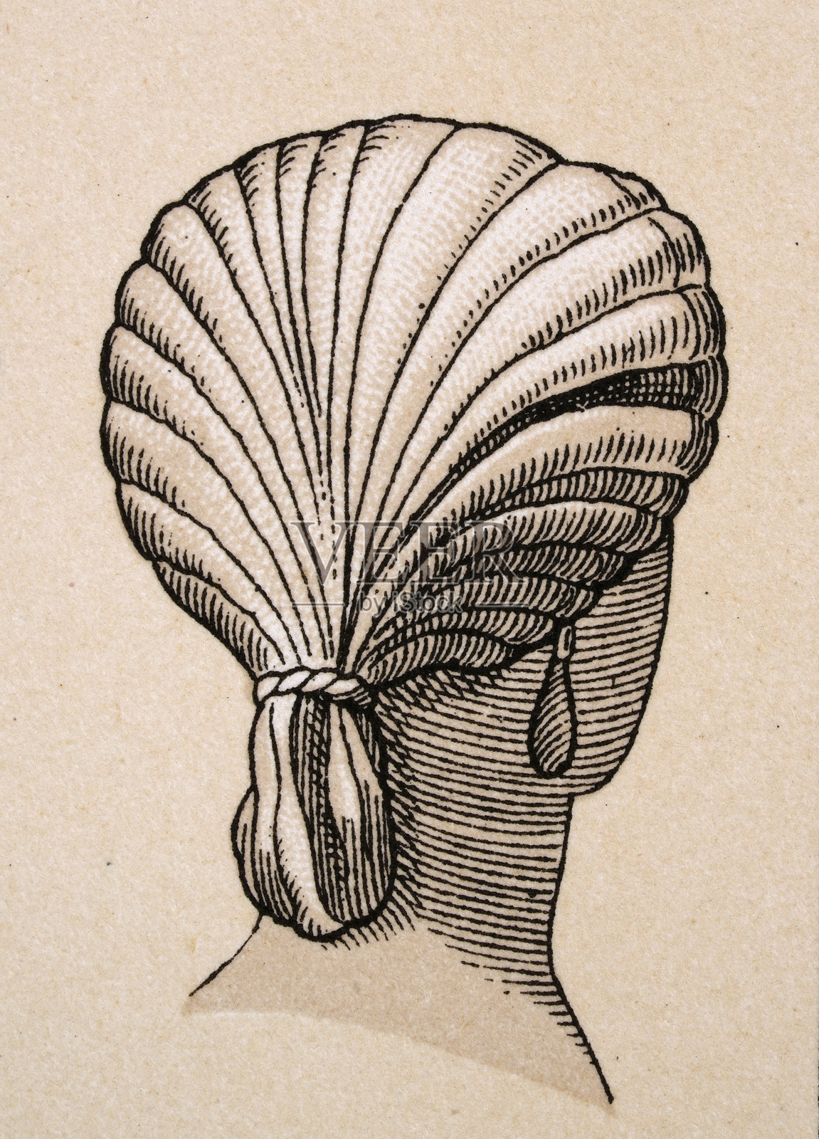 古罗马历史，罗马发型，年轻女性，长发，卷发，背面，复古插图插画图片素材