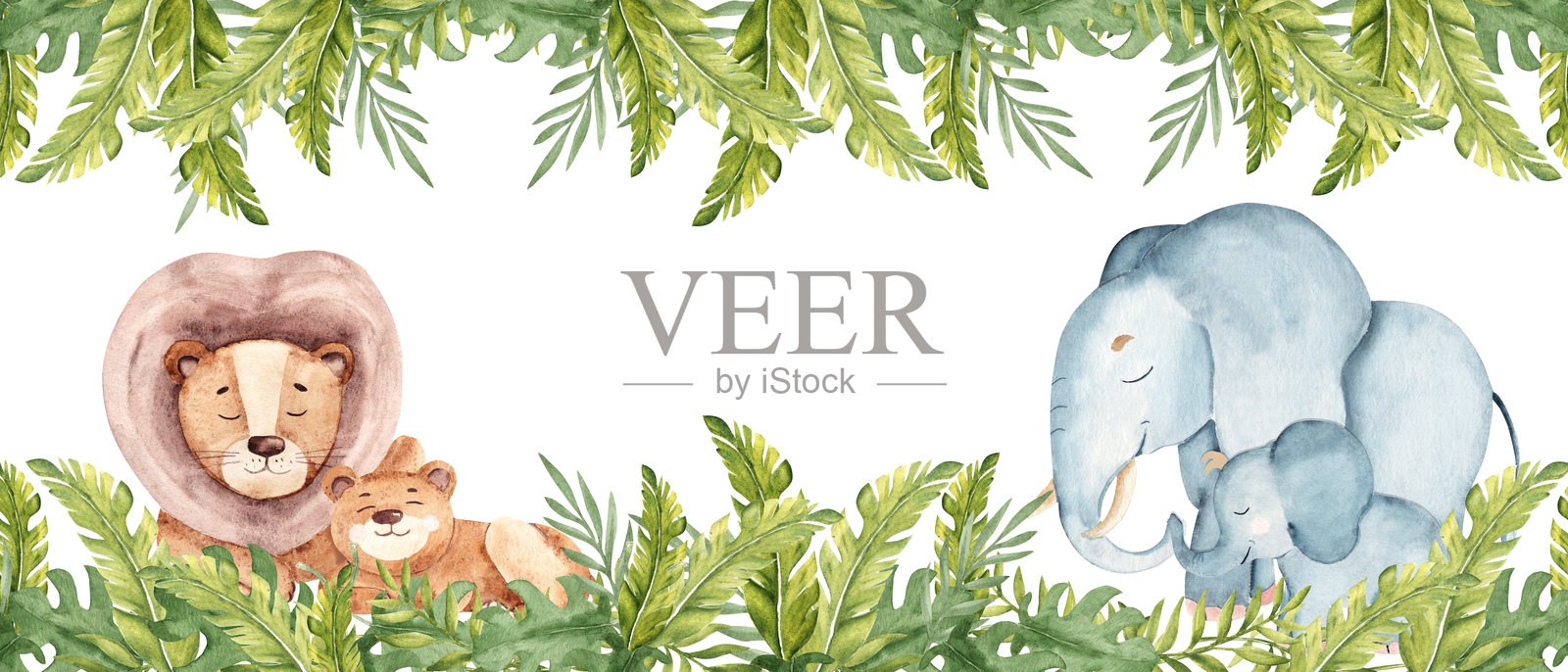 可爱的象宝宝和狮子宝宝及成年动物在热带叶子中。横向方形框架，横幅。水彩手绘插图，背景为白色。适用于儿童卡片和邀请函。插画图片素材