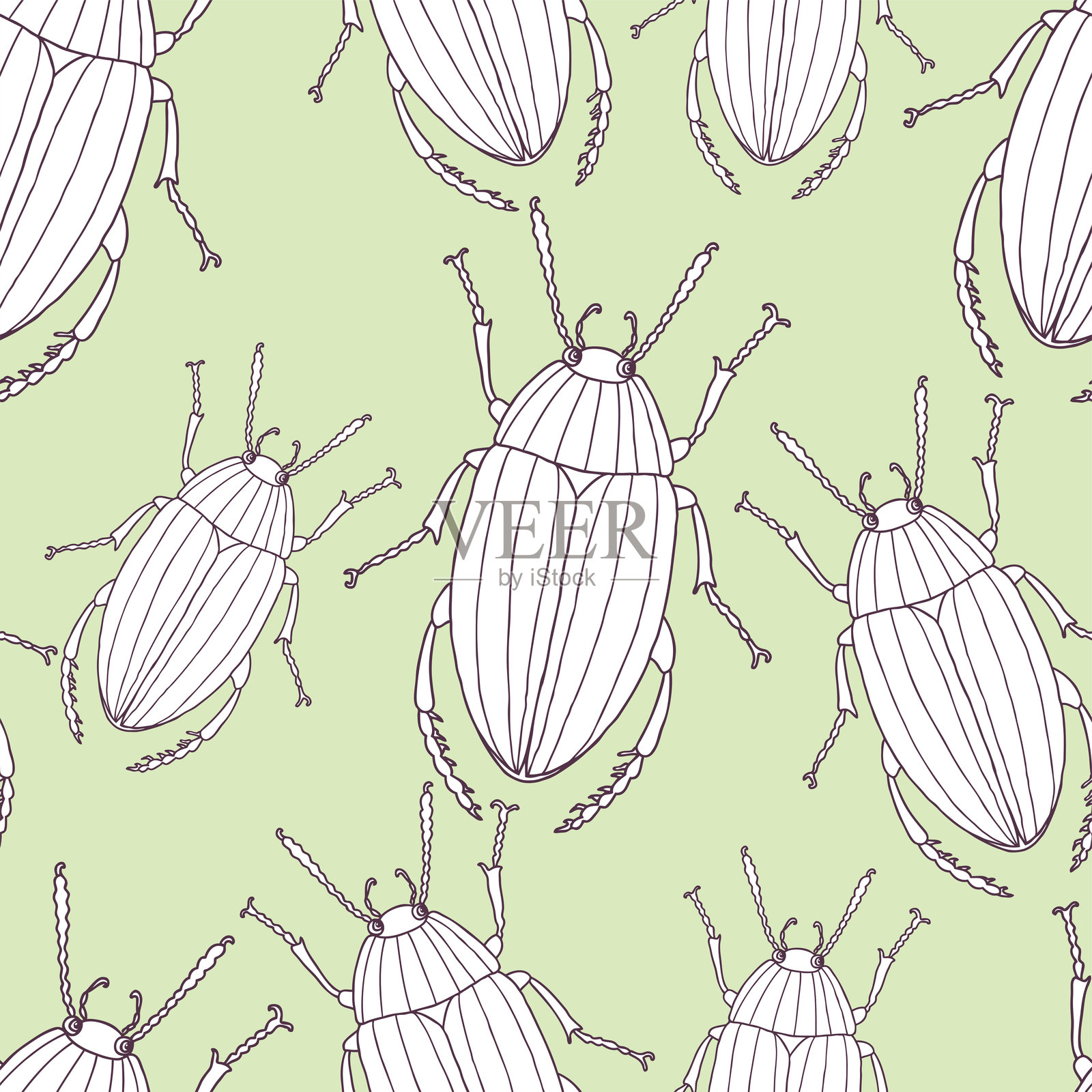无缝的甲虫轮廓图案，矢量，绿色背景，纸张，壁纸，纺织品插画图片素材
