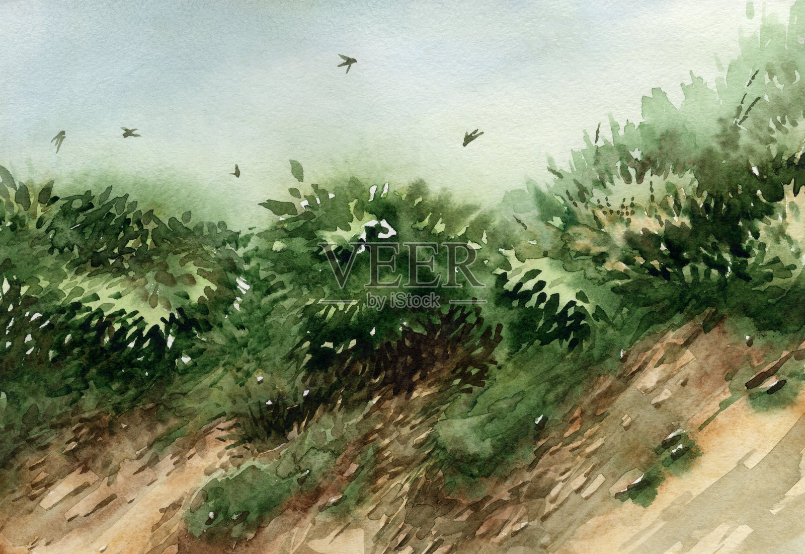 沙丘沟壑与灌木丛。水彩画效果（2）插画图片素材