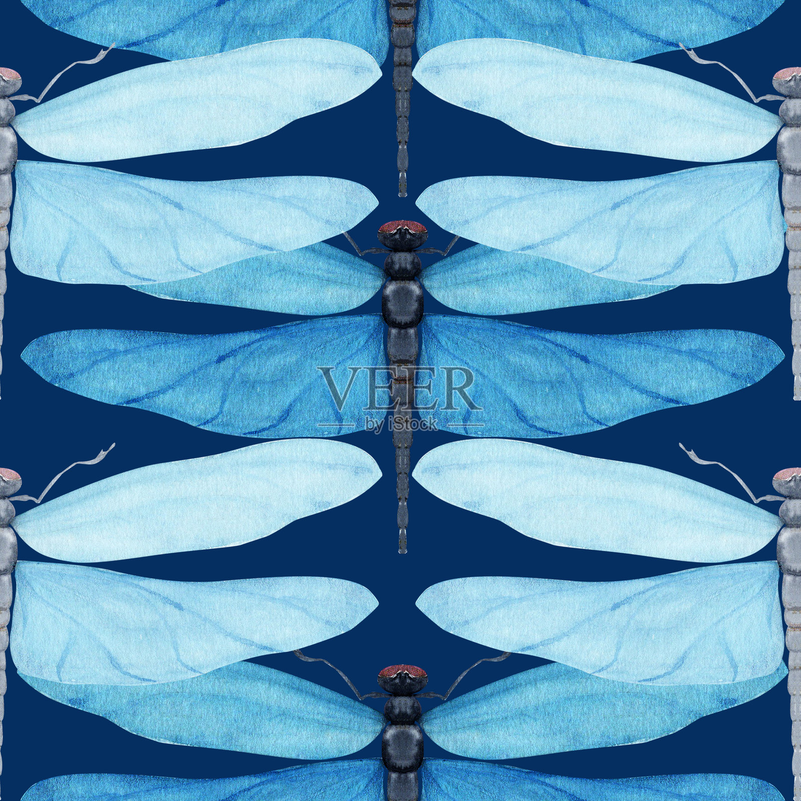 蓝色蜻蜓与半透明的翅膀，水彩无缝图案，背景为蓝色。插画图片素材