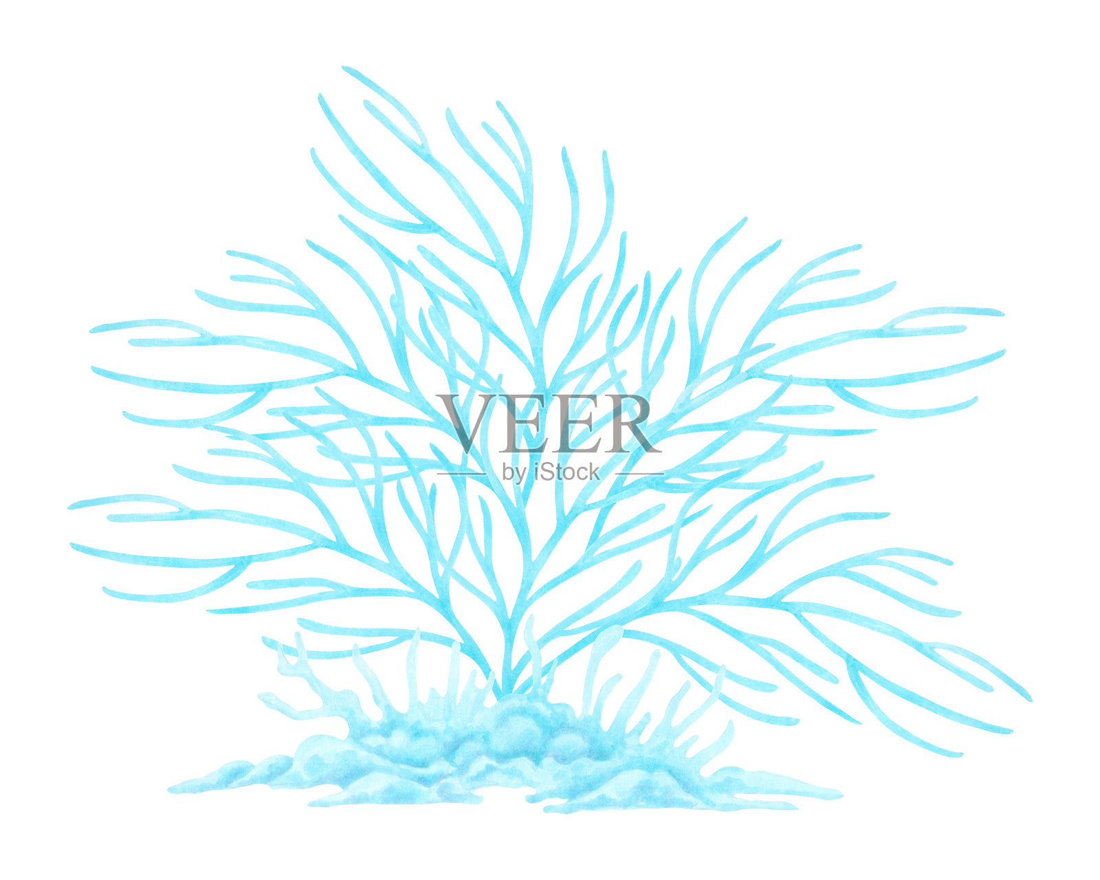 分枝蓝色珊瑚。水彩和马克笔插图。海底的水下动物。手绘孤立艺术。海洋珊瑚礁。用于指南书籍、儿童设计和旅游设计的异国植物。插画图片素材