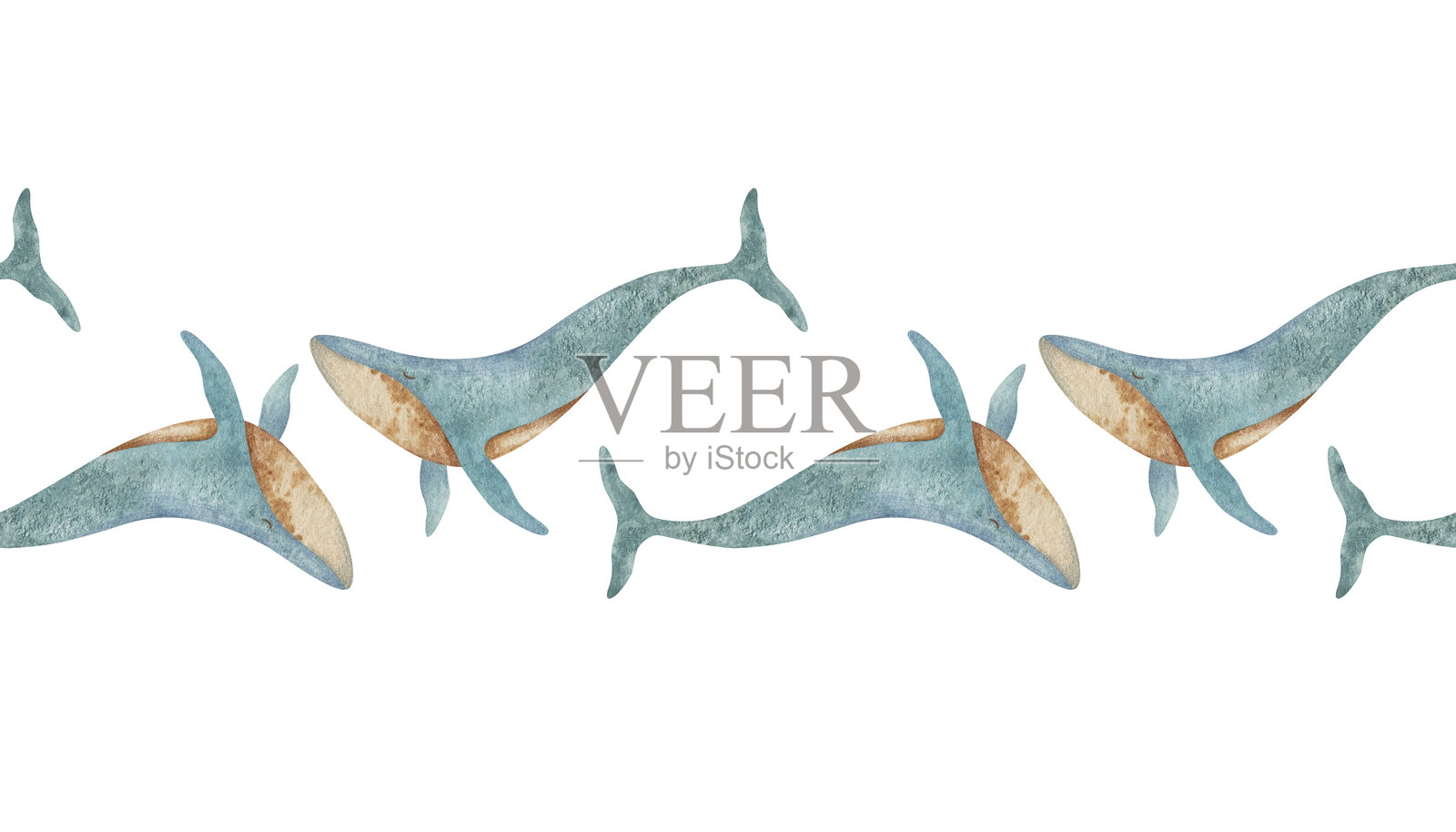 水彩蓝鲸插图的图案。插画图片素材