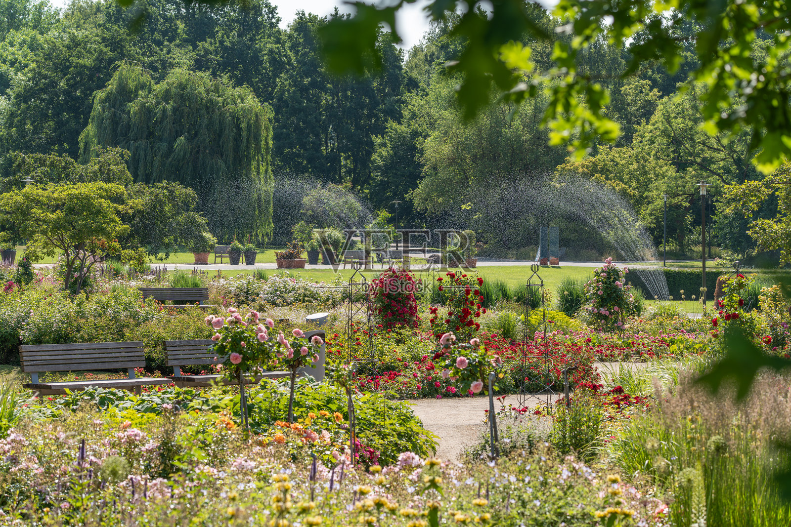 一个维护良好的公共花园，背景中有几处喷泉，花坛中盛开着五彩缤纷的花朵。照片摄影图片