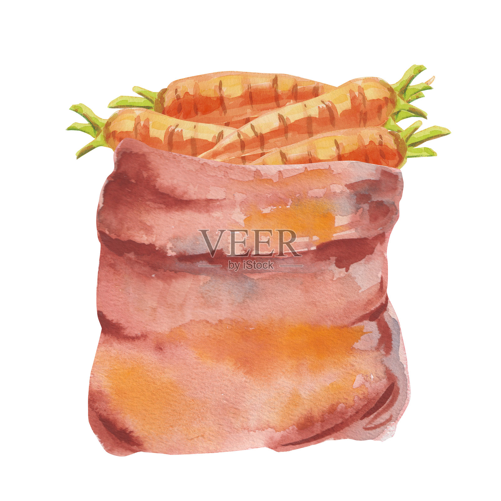 环保袋与新鲜的橙色胡萝卜。手绘水彩插图展示新鲜蔬菜。适用于乡村、农场、感恩节、收获、贴纸或生态印刷的插图。插画图片素材