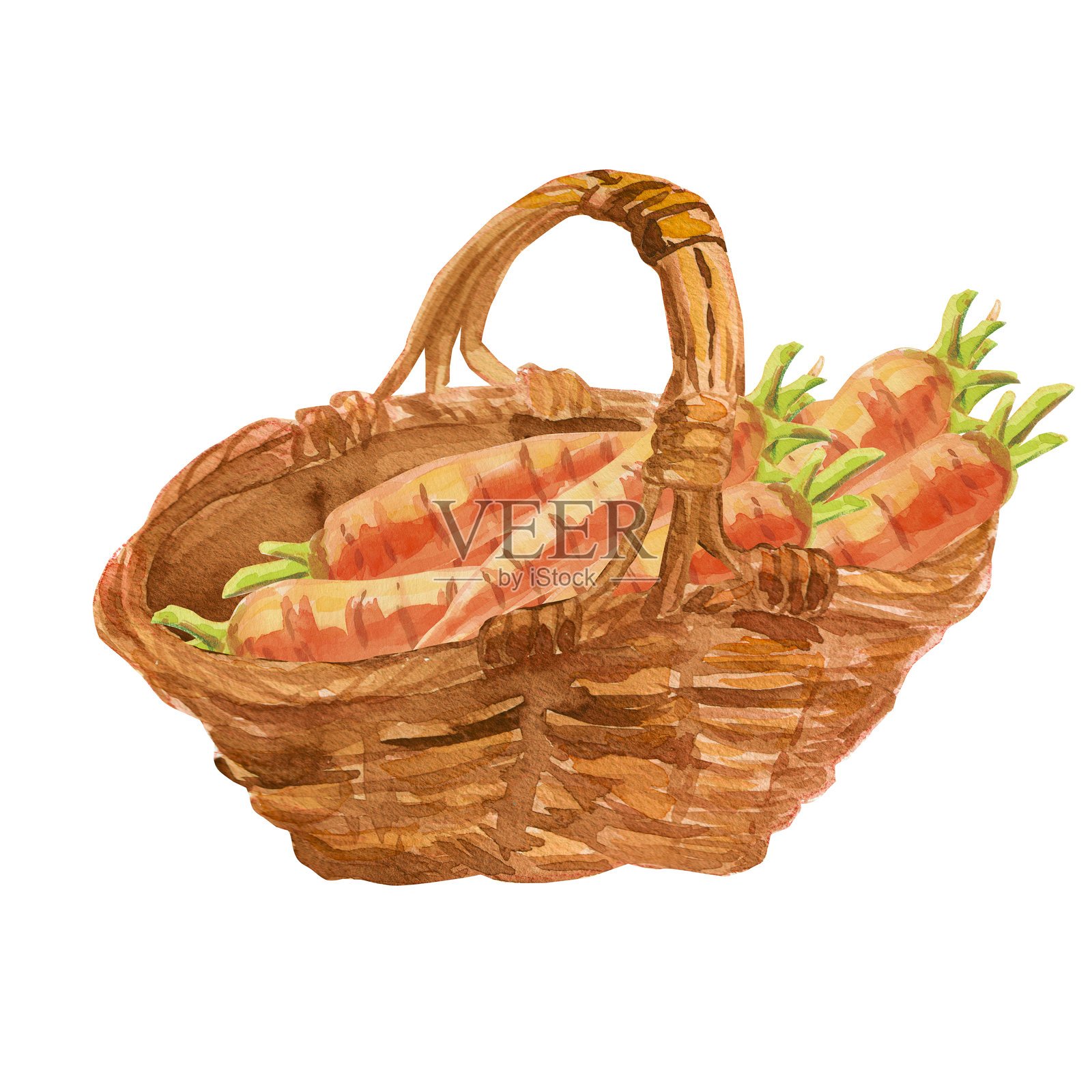 新鲜采摘的橙色胡萝卜放在棕色柳条篮子里。水彩手绘插图，背景为白色。收获、感恩节、农业、市场、秋季主题插画图片素材