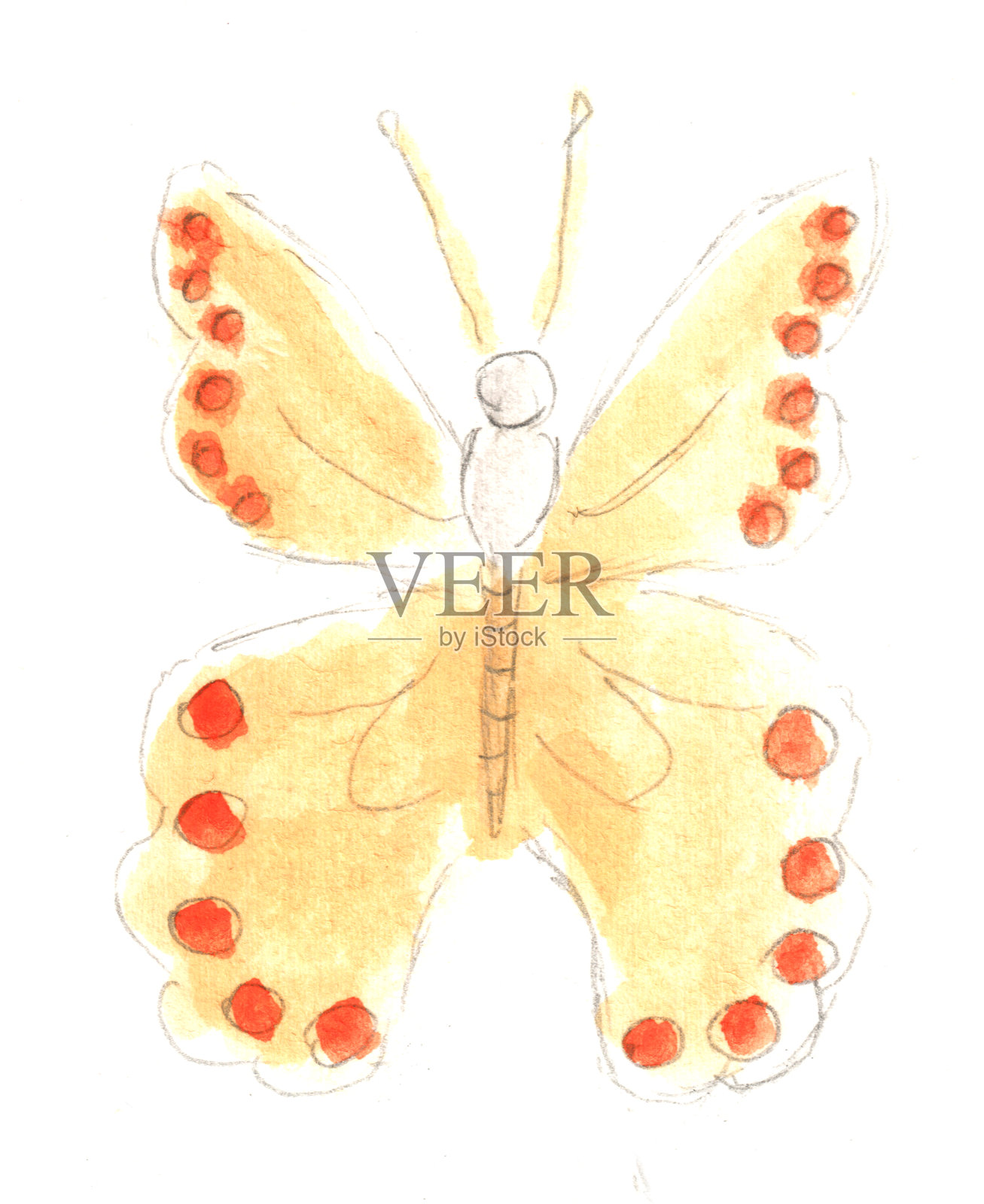 黄色蝴蝶，昆虫。水彩插图，手绘现代自由风格。插画图片素材