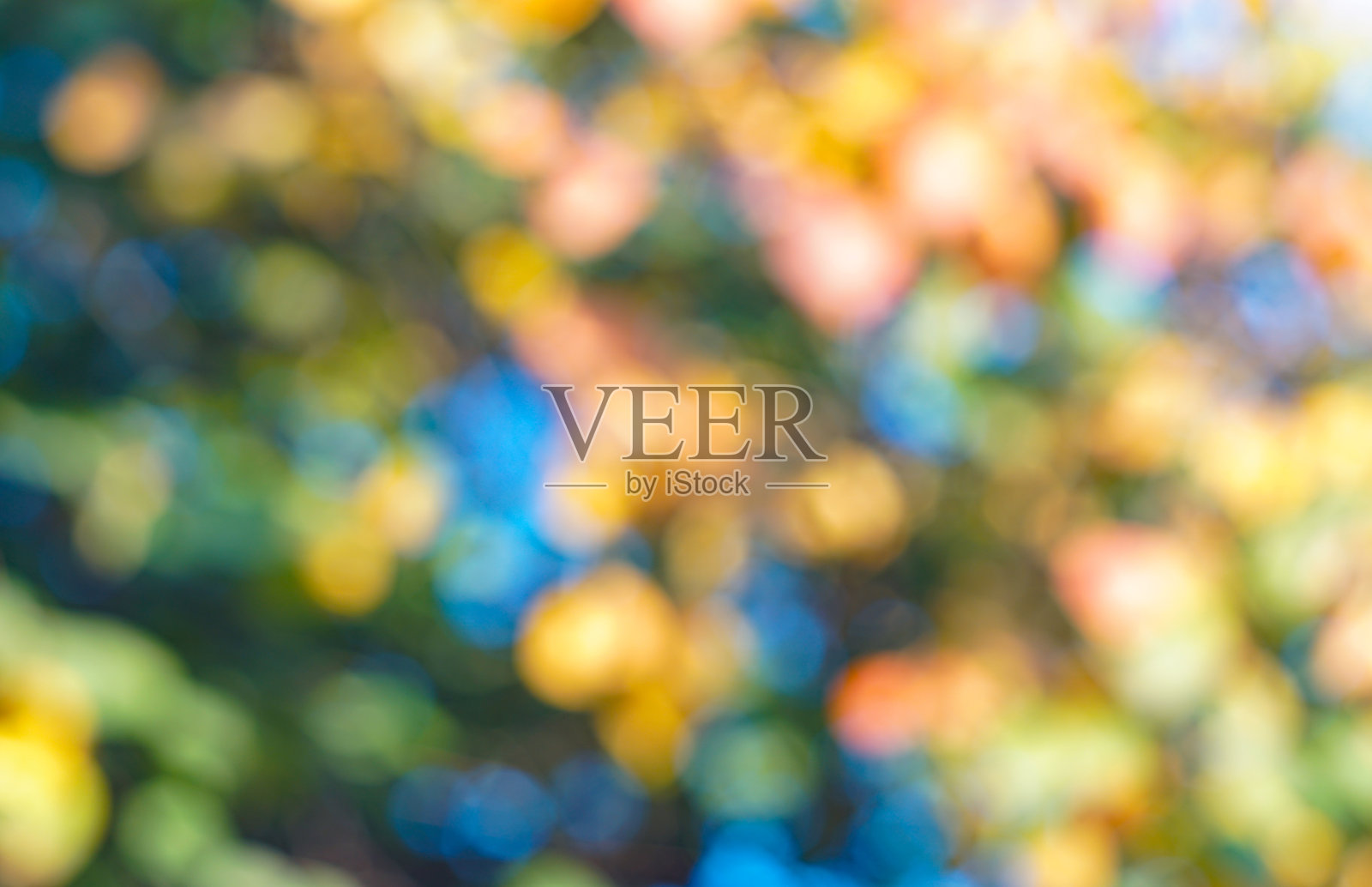 黄色和白色的散景背景照片摄影图片