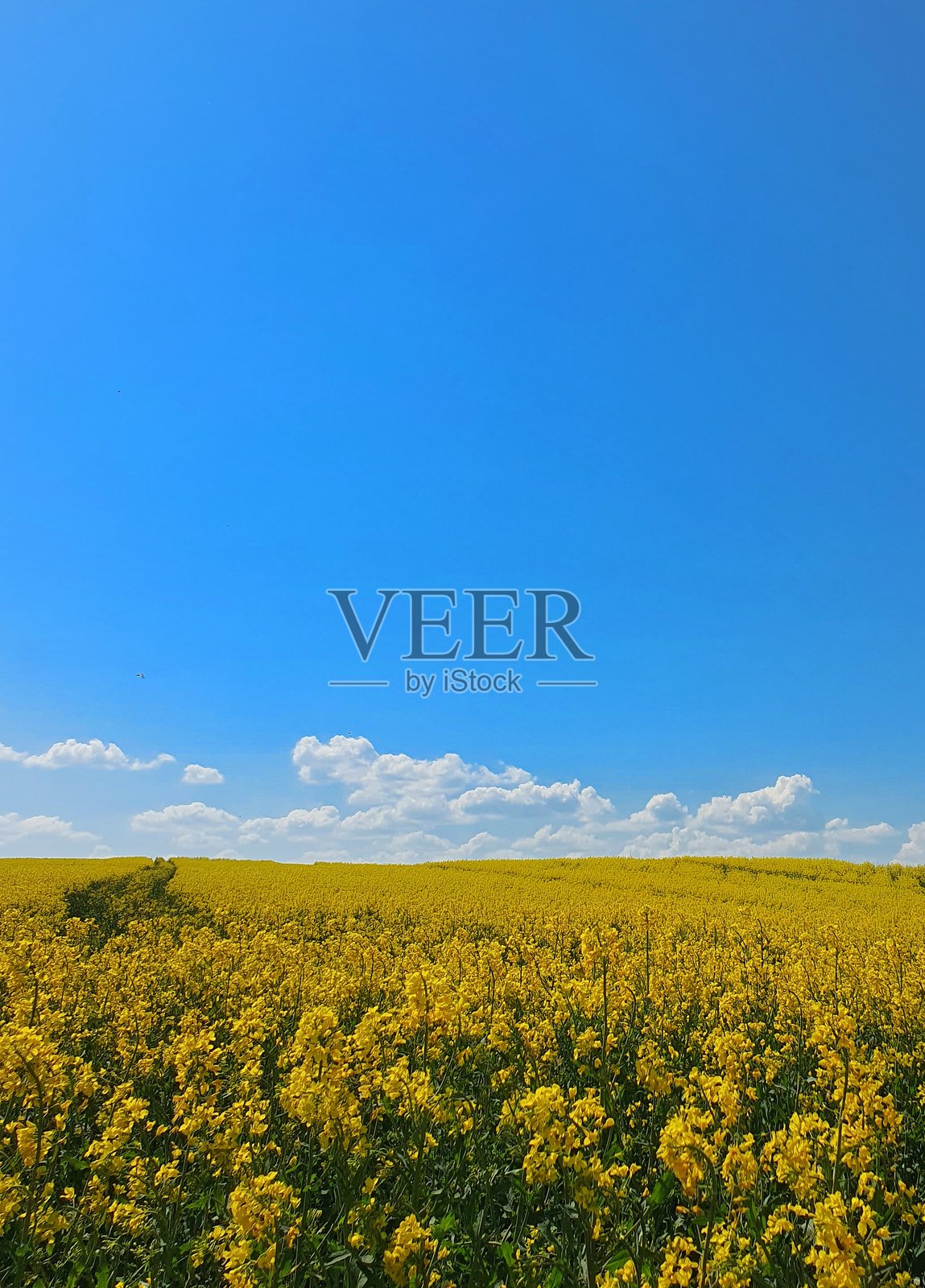 风景照片摄影图片