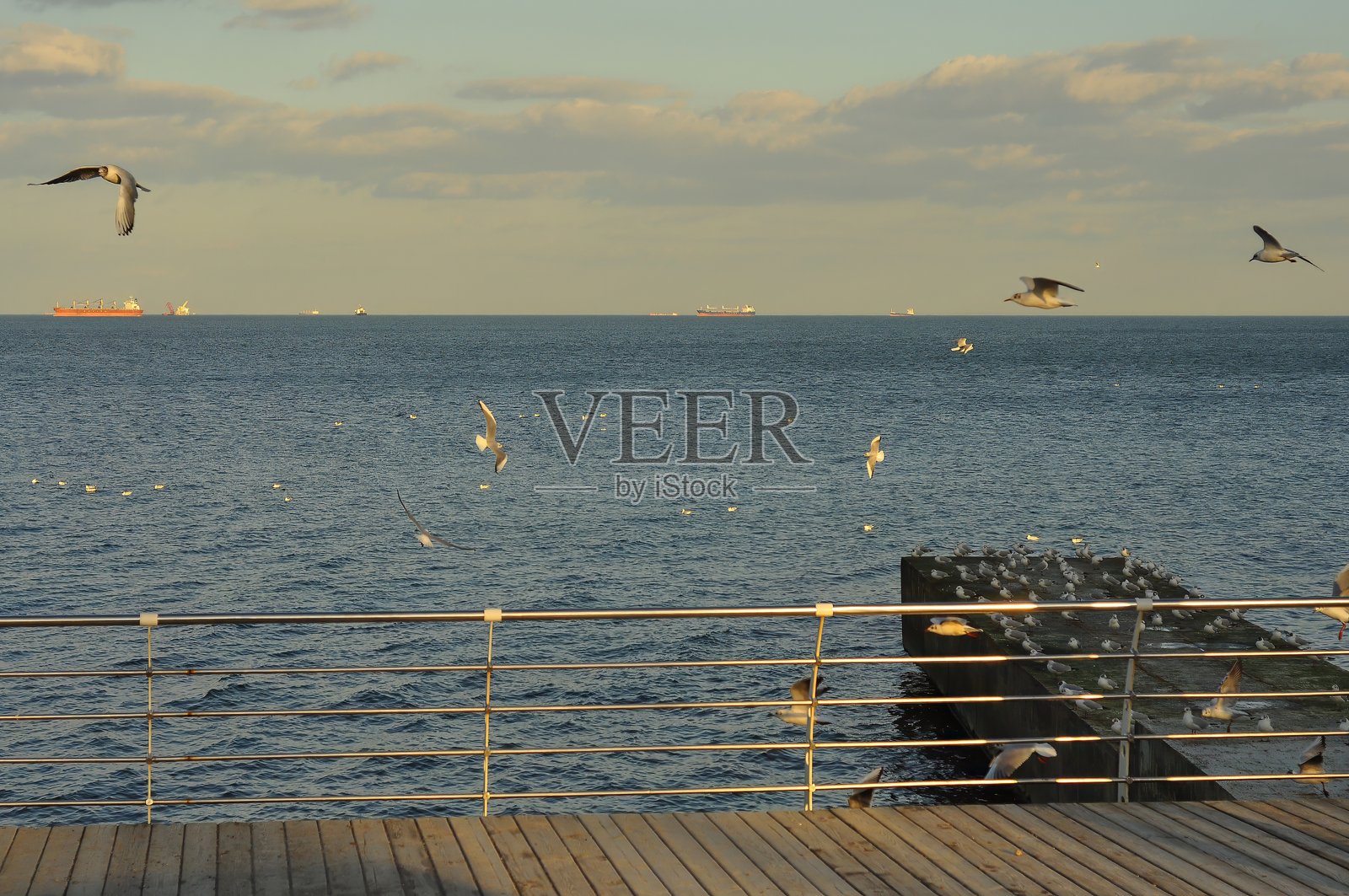 海鸥在日落时分飞过靠近木栈桥的海洋。照片摄影图片