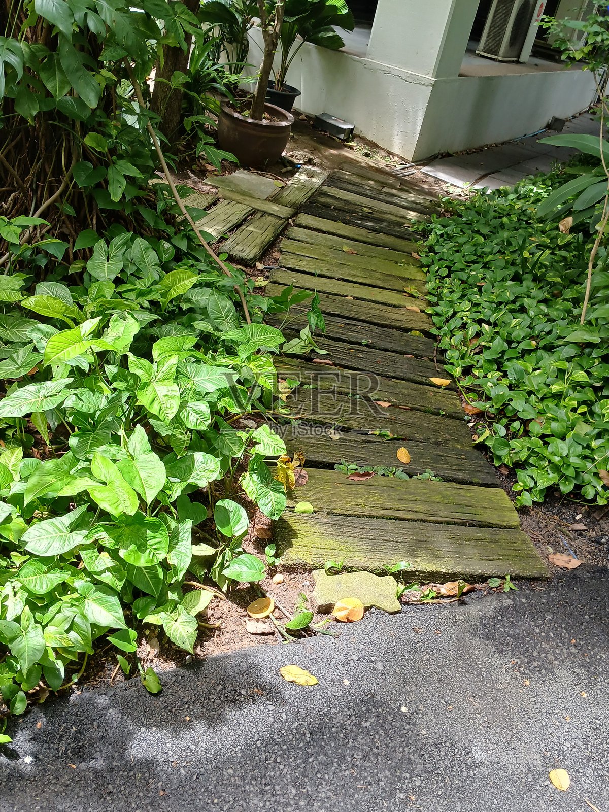 房子的入口照片摄影图片